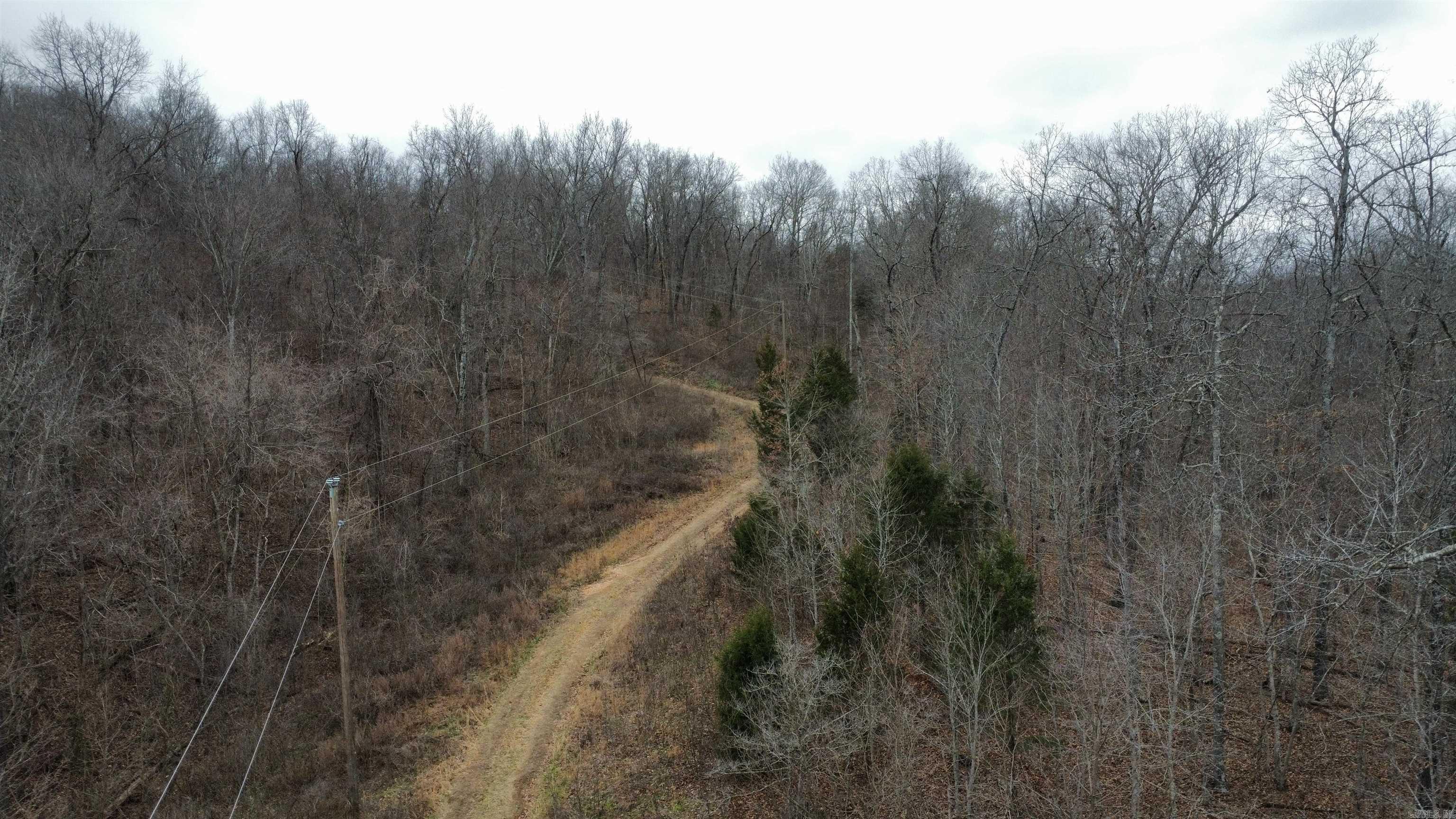 Green Forrest - Land