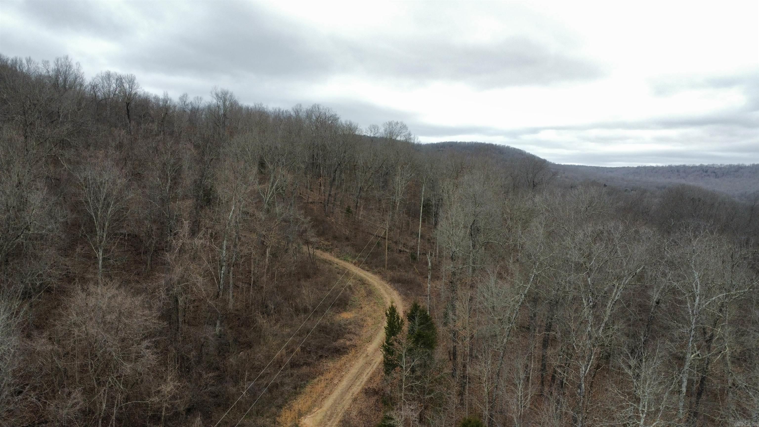 Green Forrest - Land