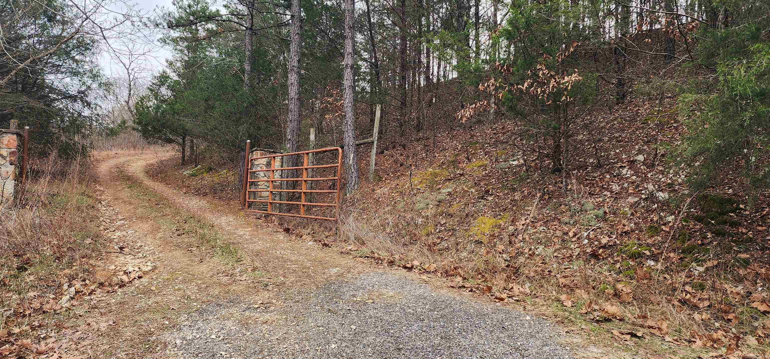 Green Forrest - Land