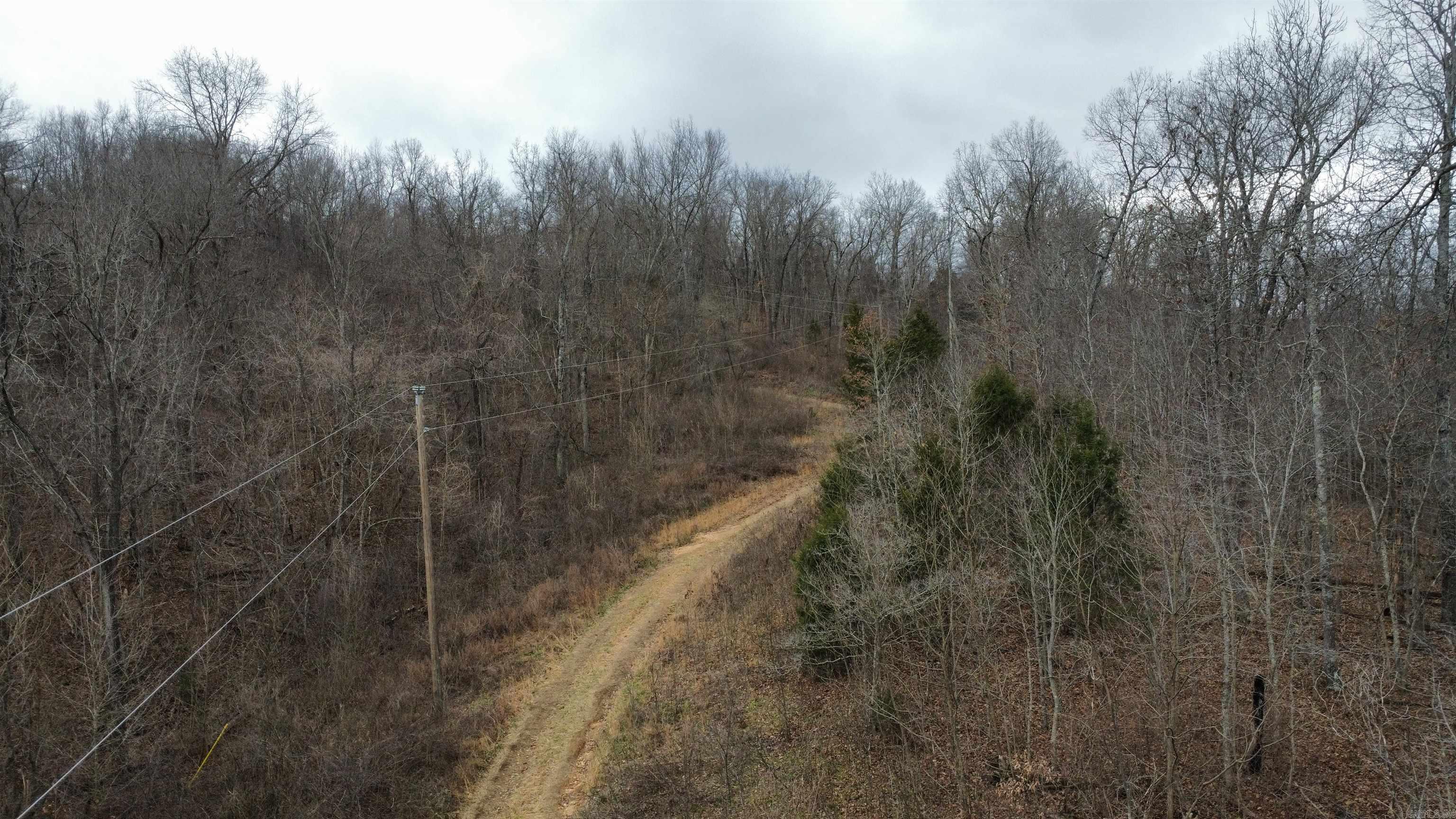 Green Forrest - Land