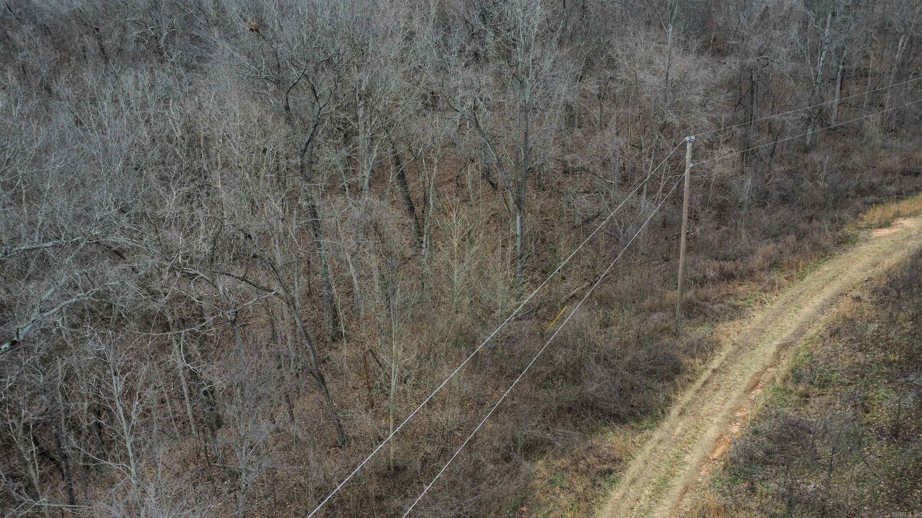 Green Forrest - Land