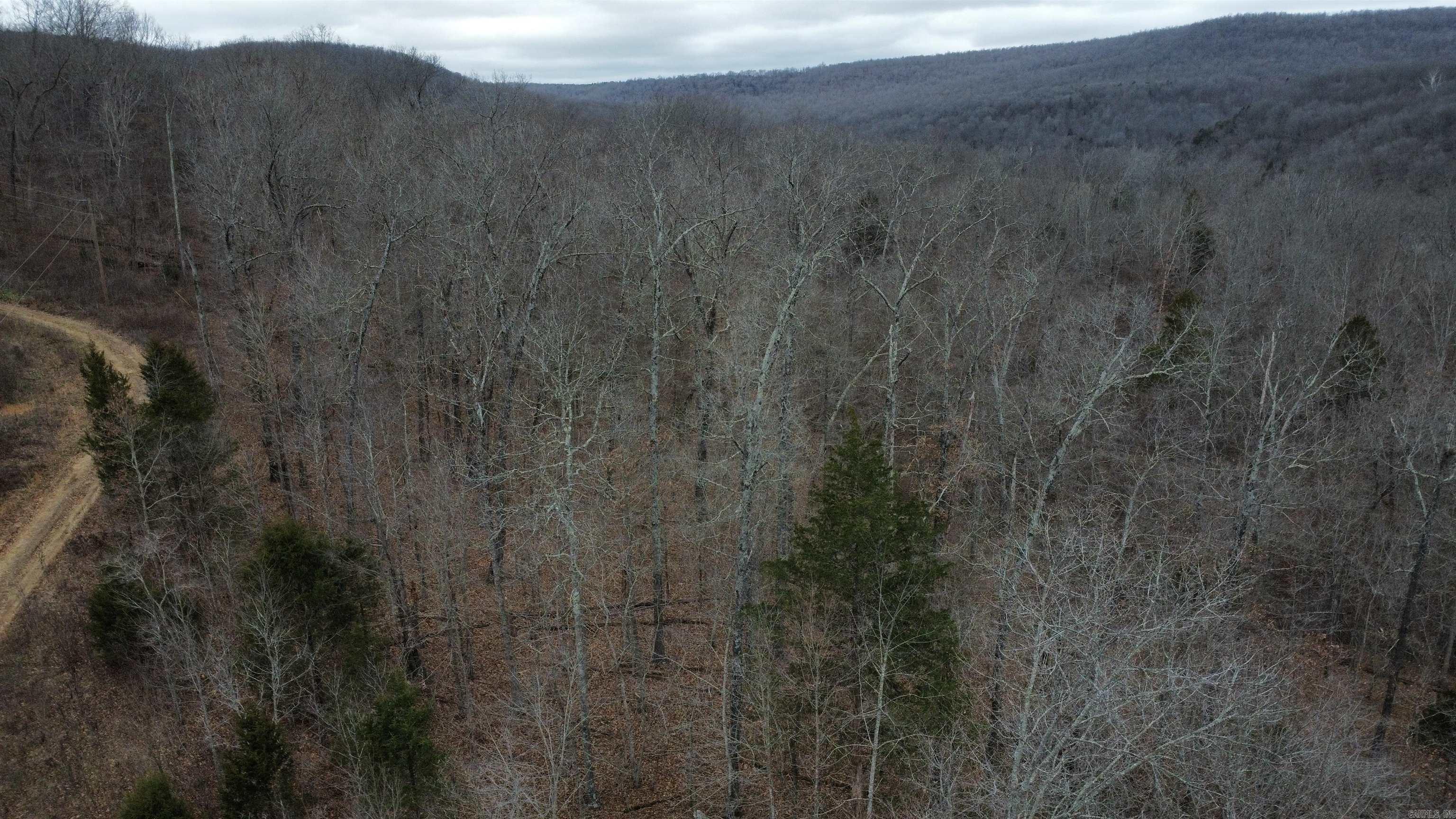 Green Forrest - Land