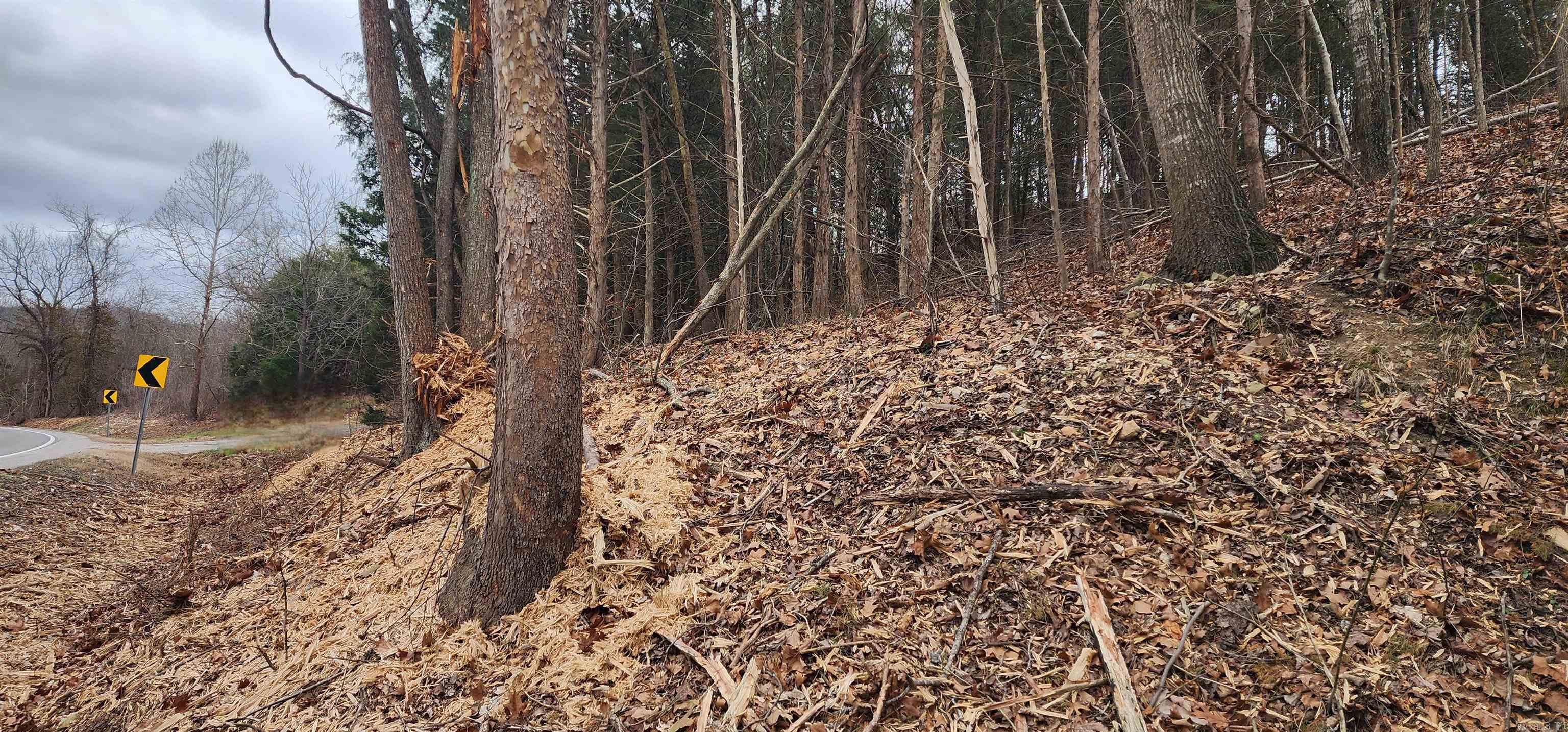 Green Forrest - Land