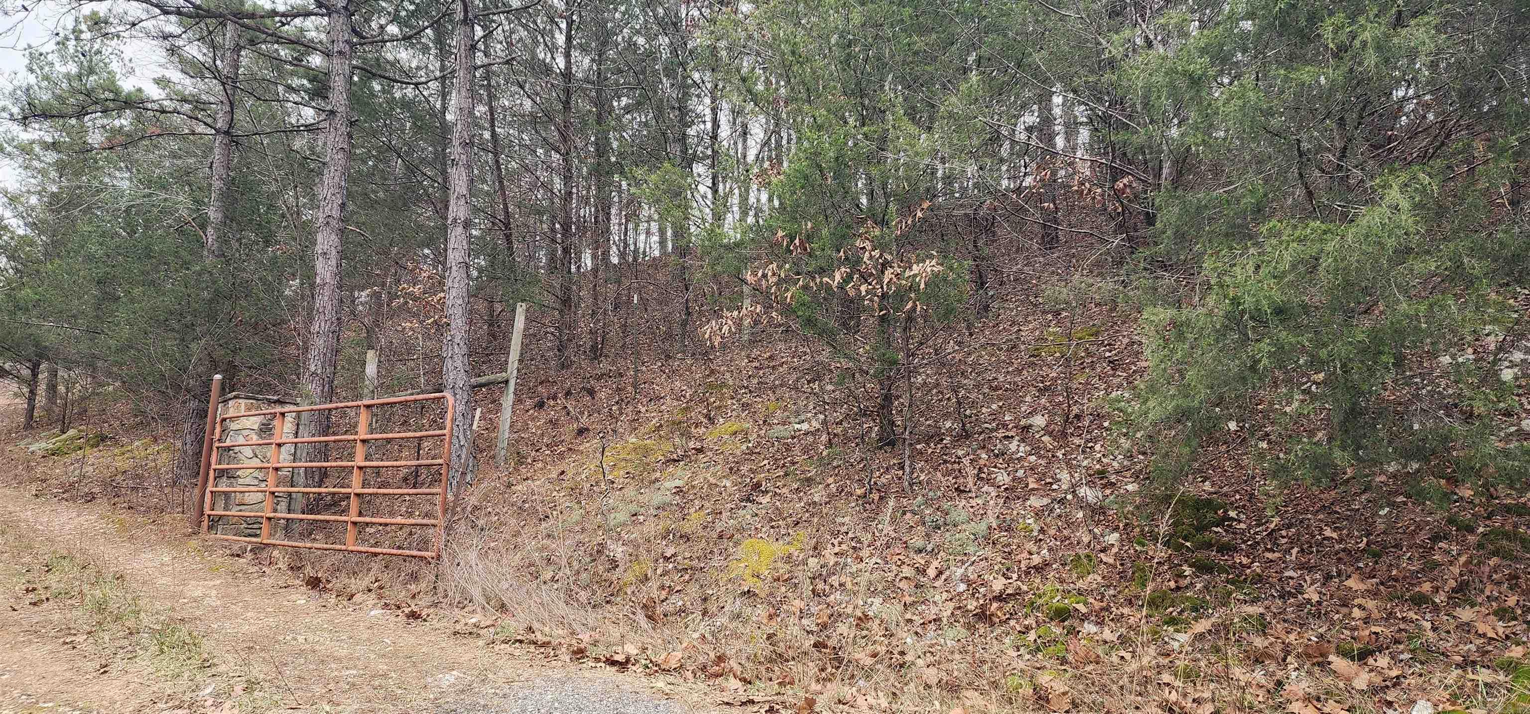 Green Forrest - Land