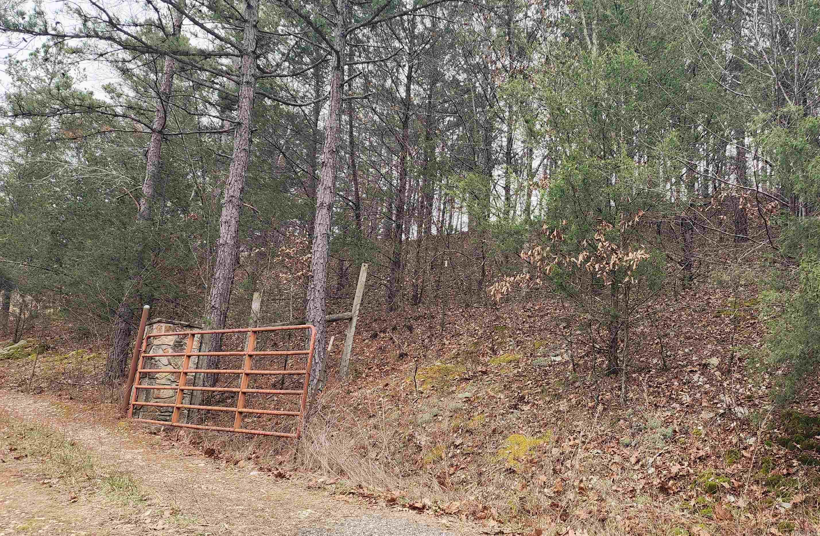 Green Forrest - Land