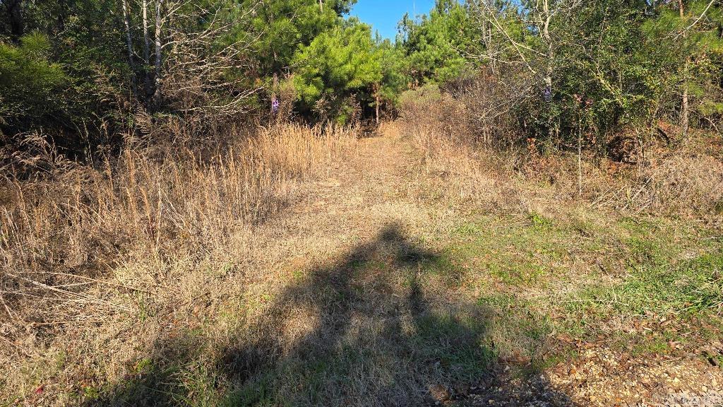 Metes & Bounds - Land