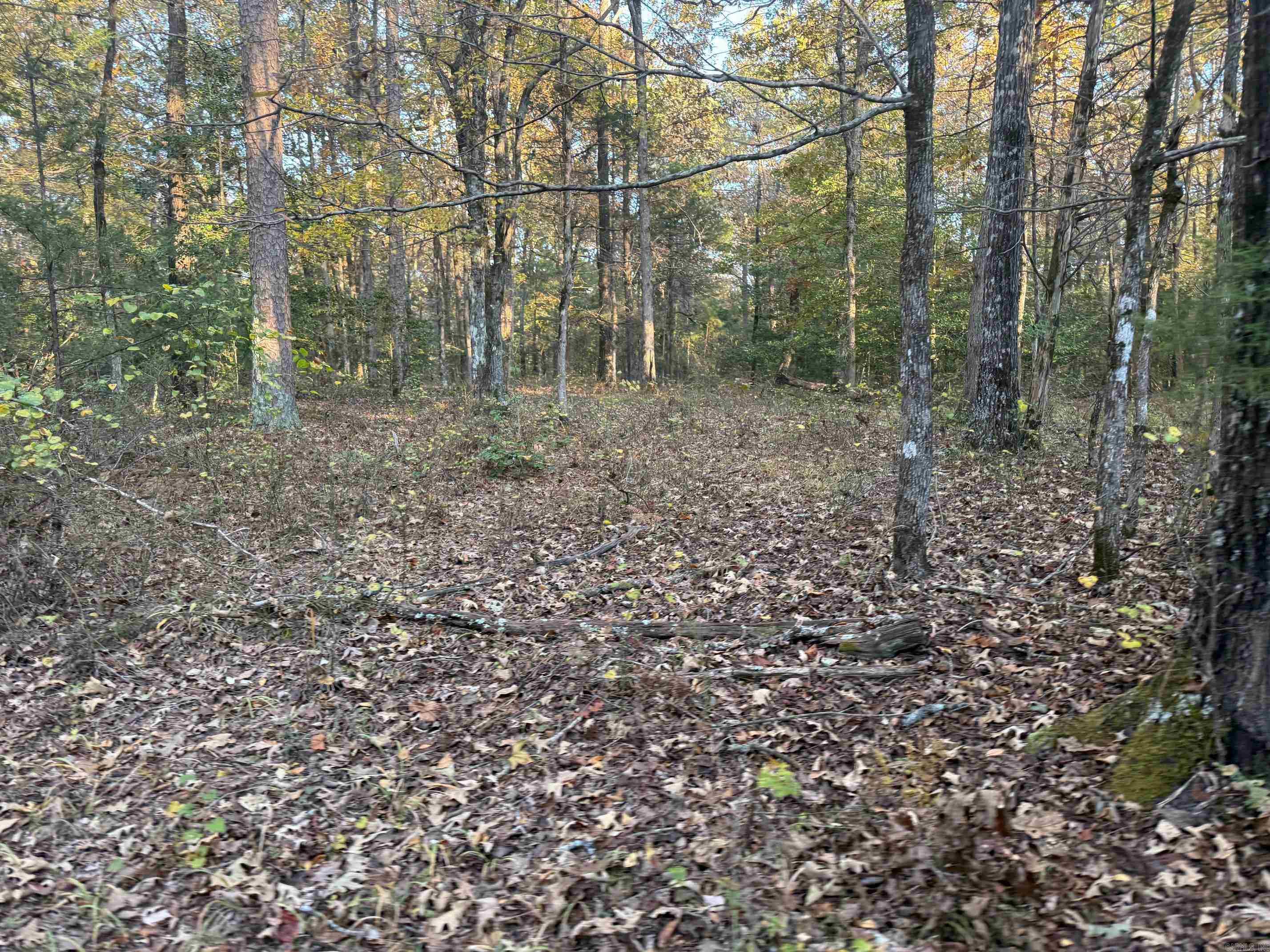 Metes & Bounds - Land