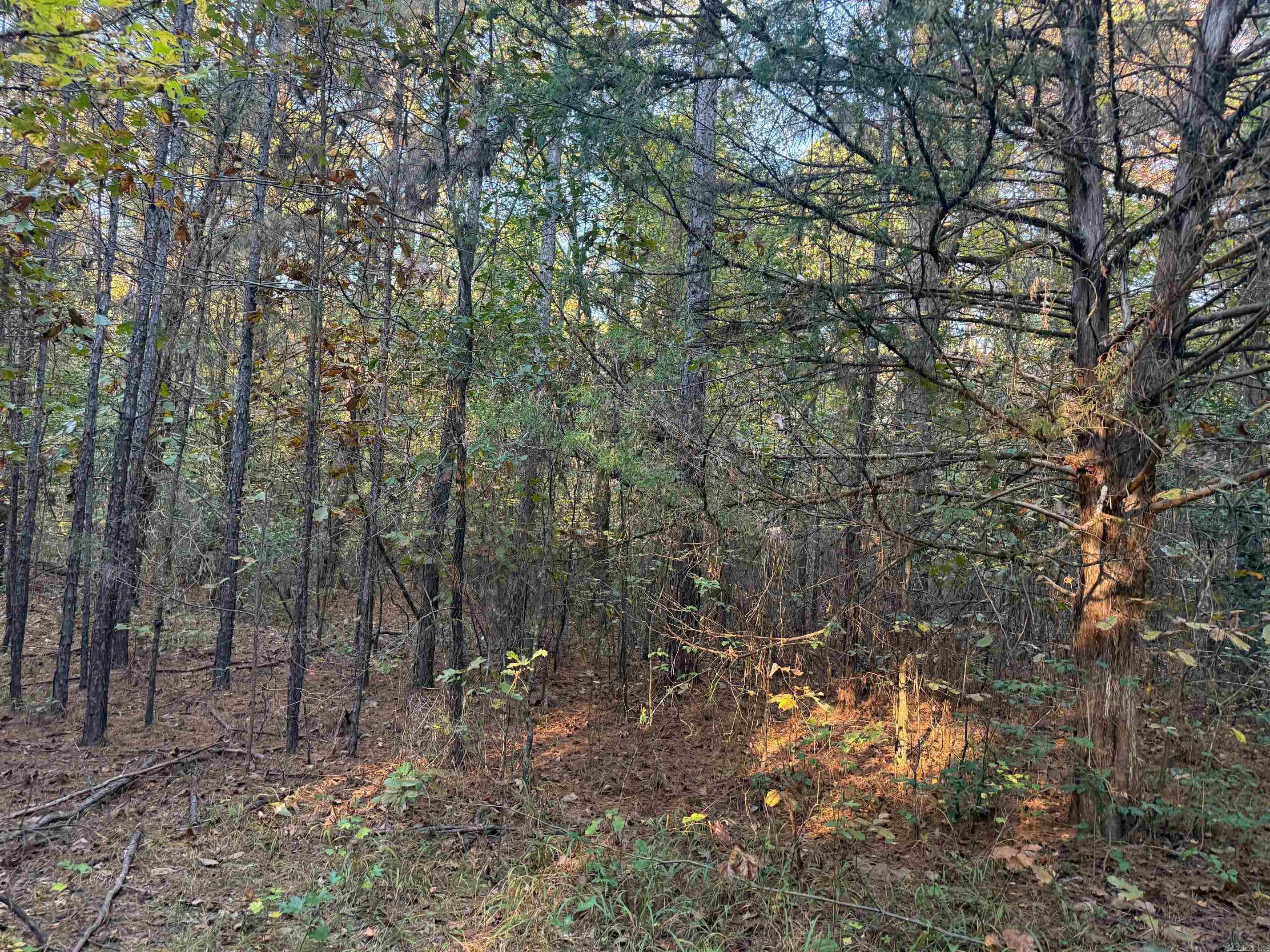 Metes & Bounds - Land