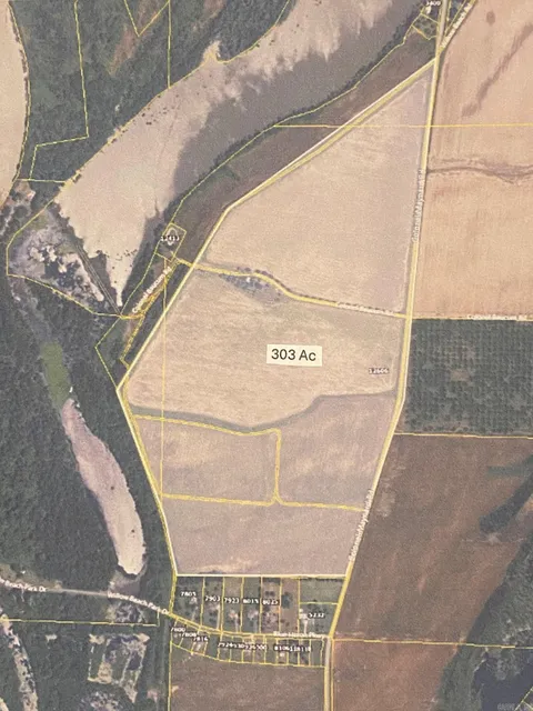 MLS: 25010044