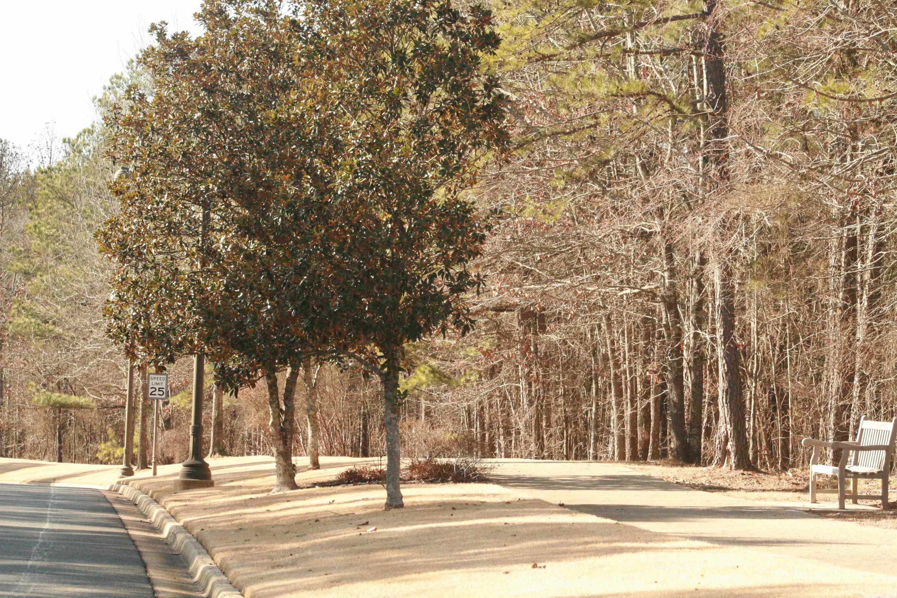 Red Oak Ridge - Land