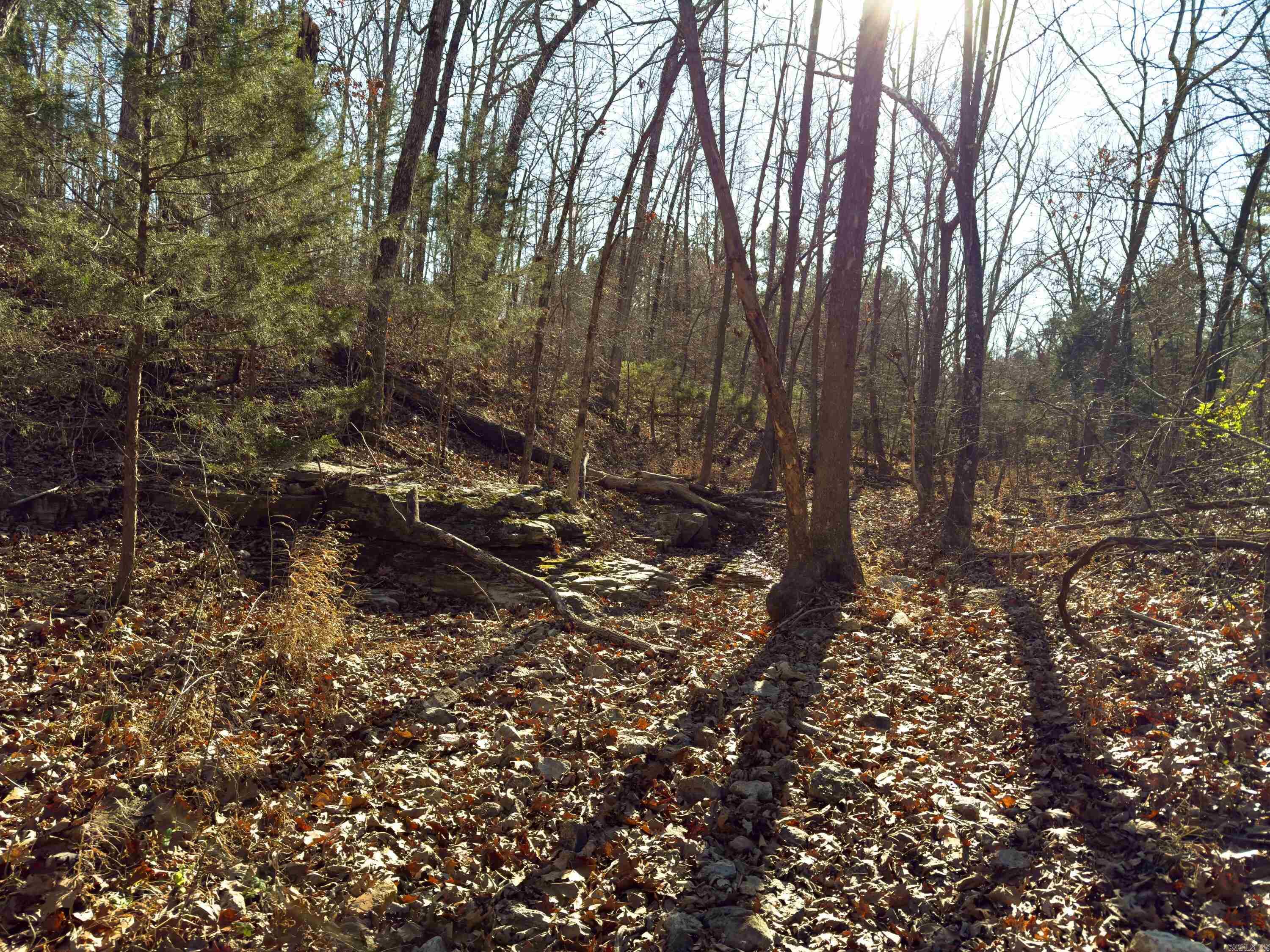 Metes & Bounds - Land