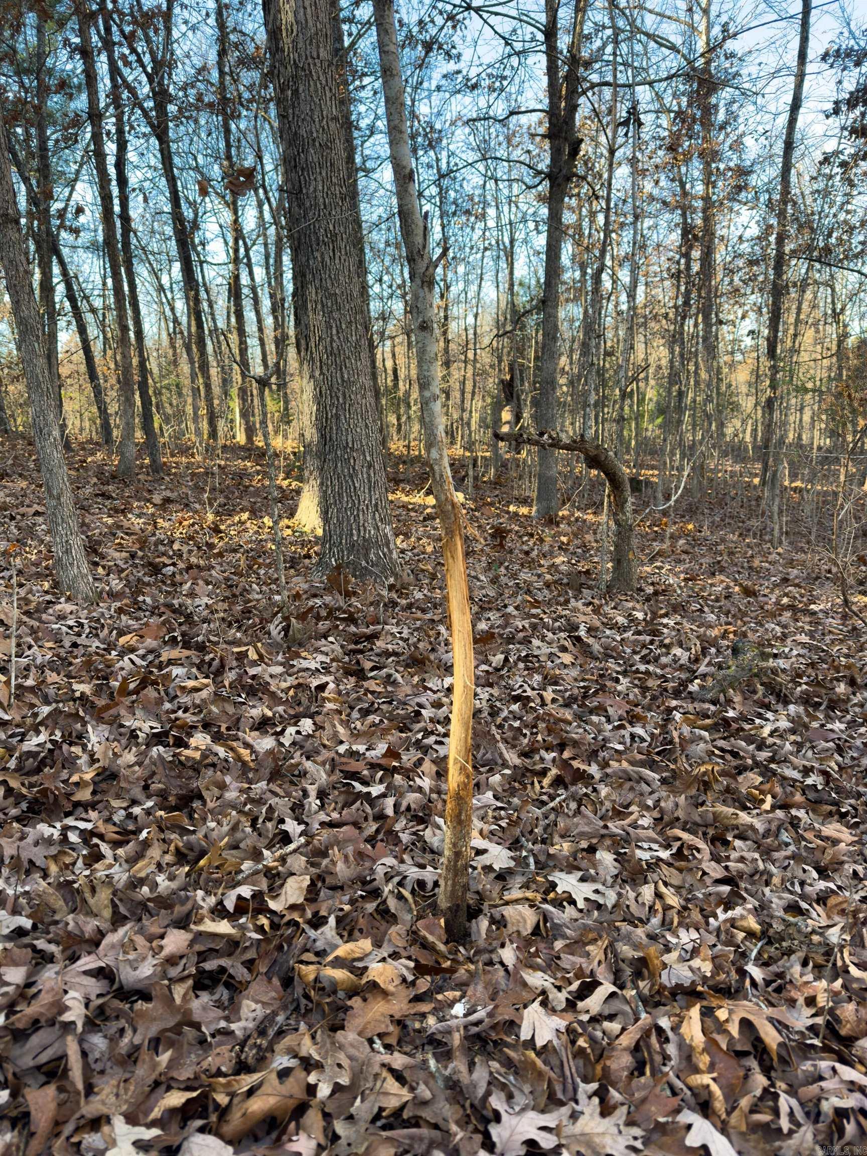 Metes & Bounds - Land