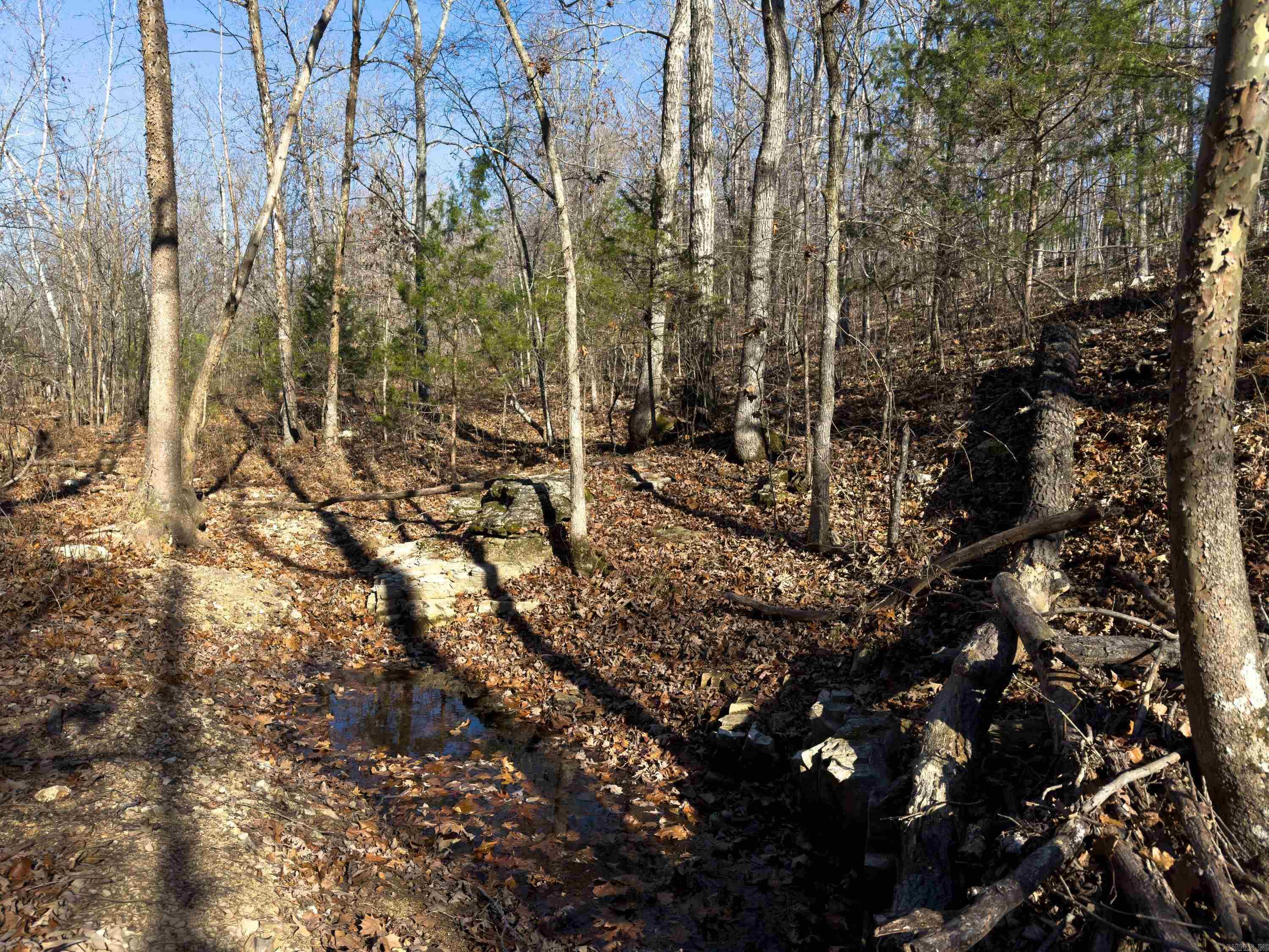 Metes & Bounds - Land