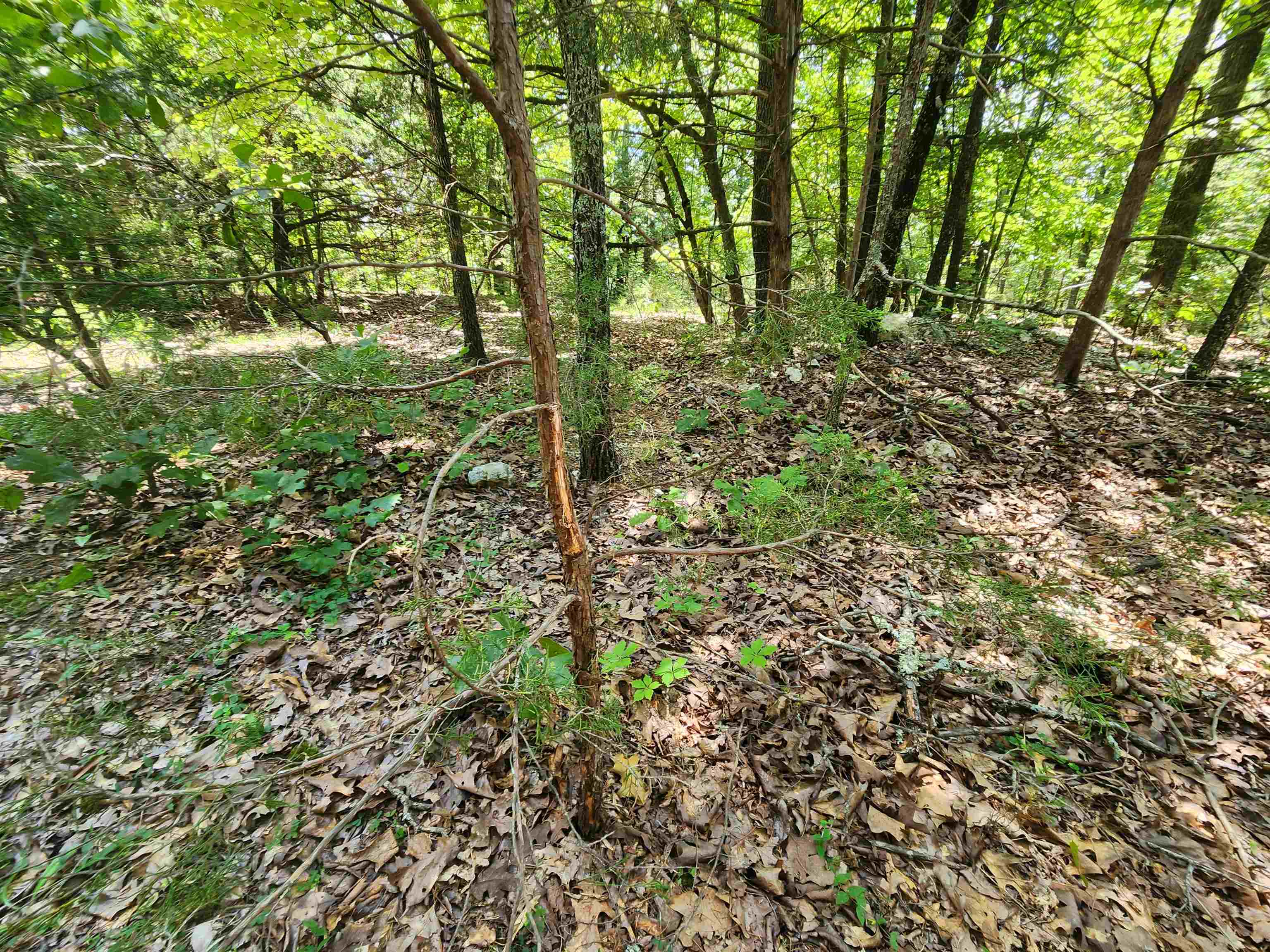 Cherokee Village - Land