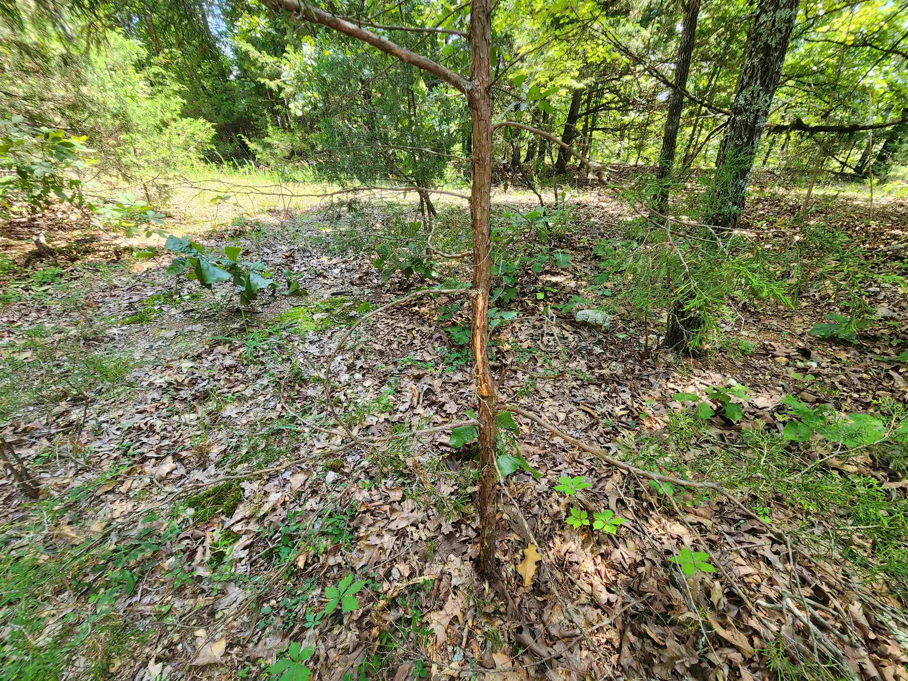 Cherokee Village - Land