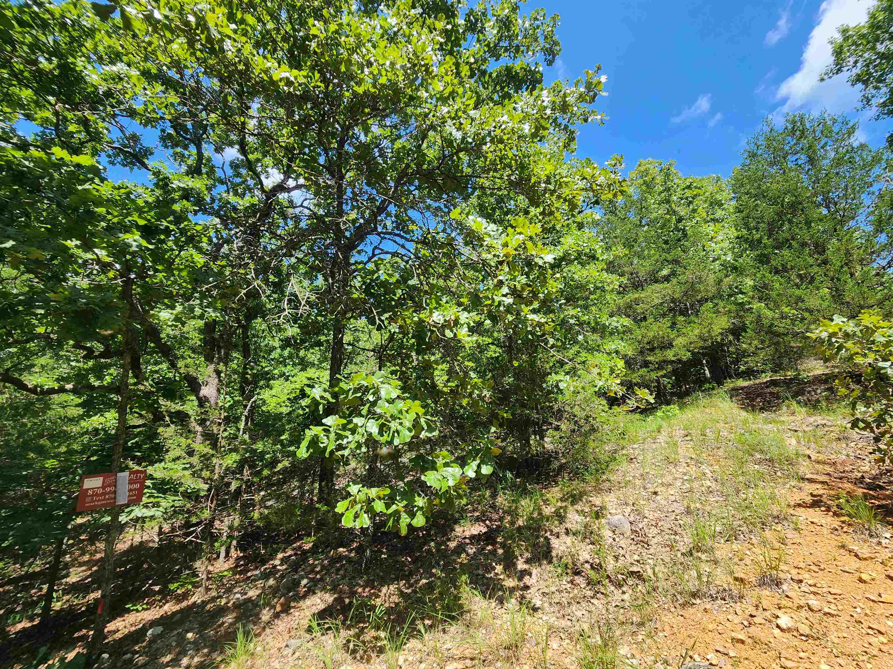 Cherokee Village - Land