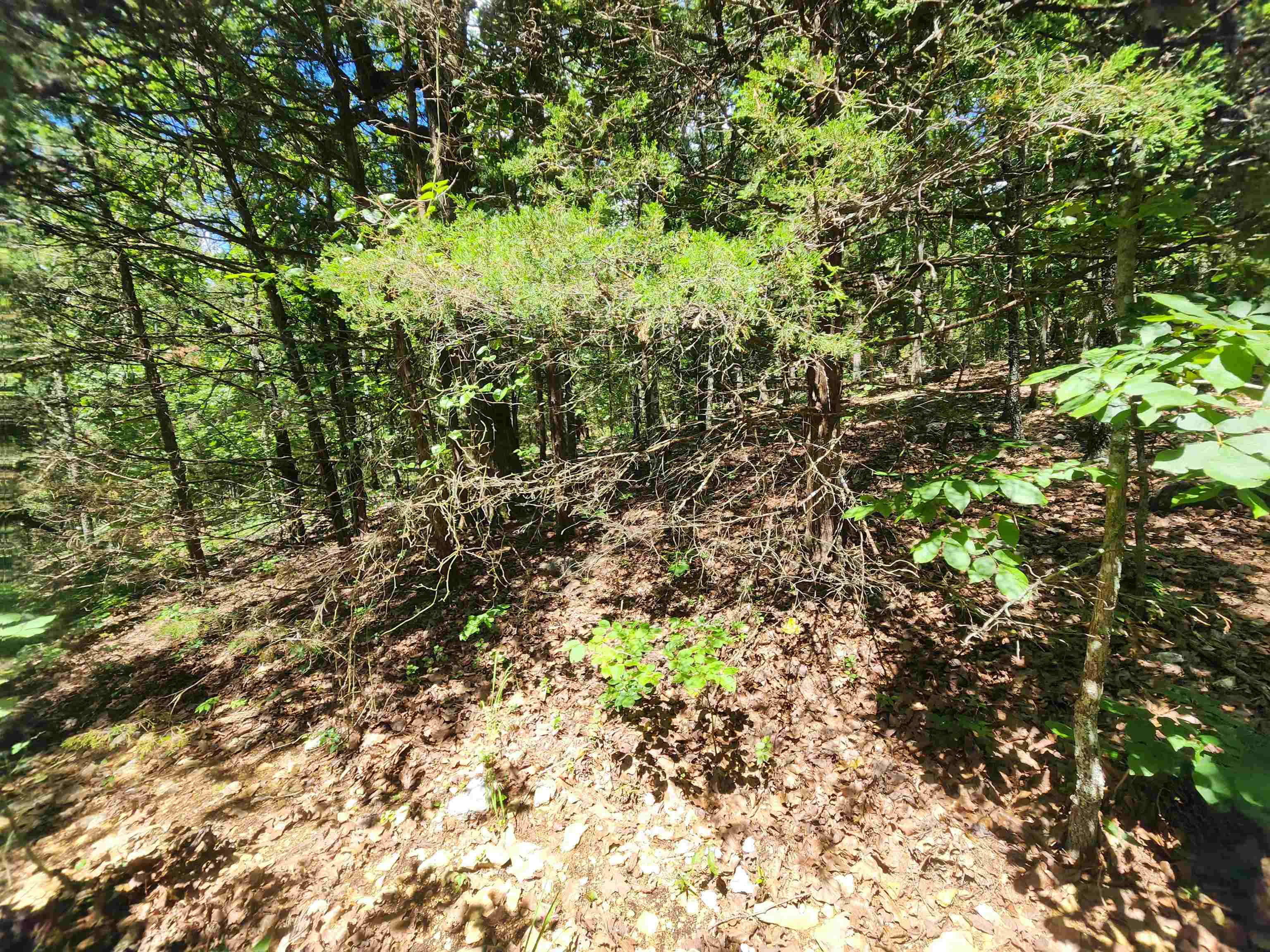 Cherokee Village - Land