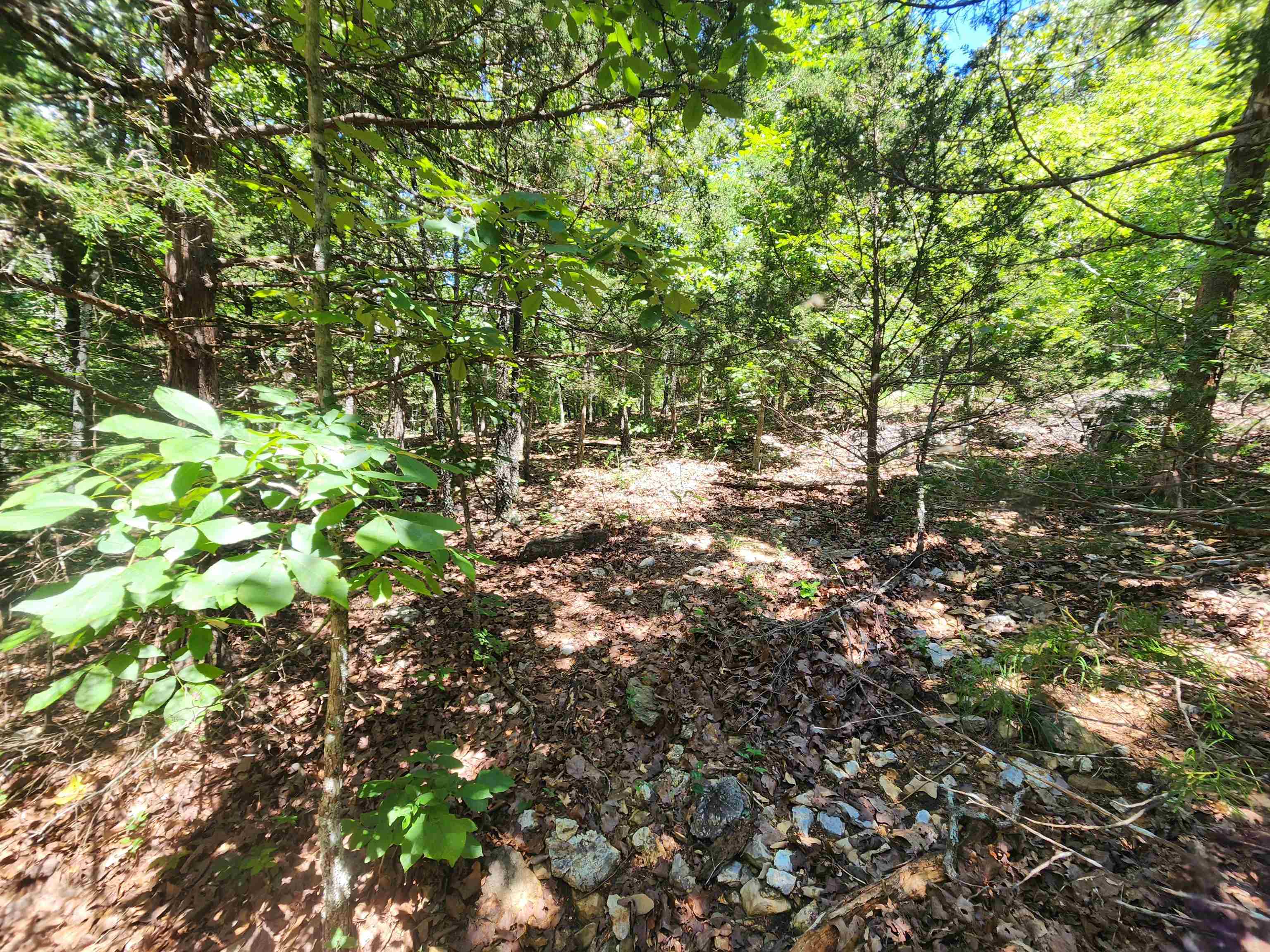 Cherokee Village - Land