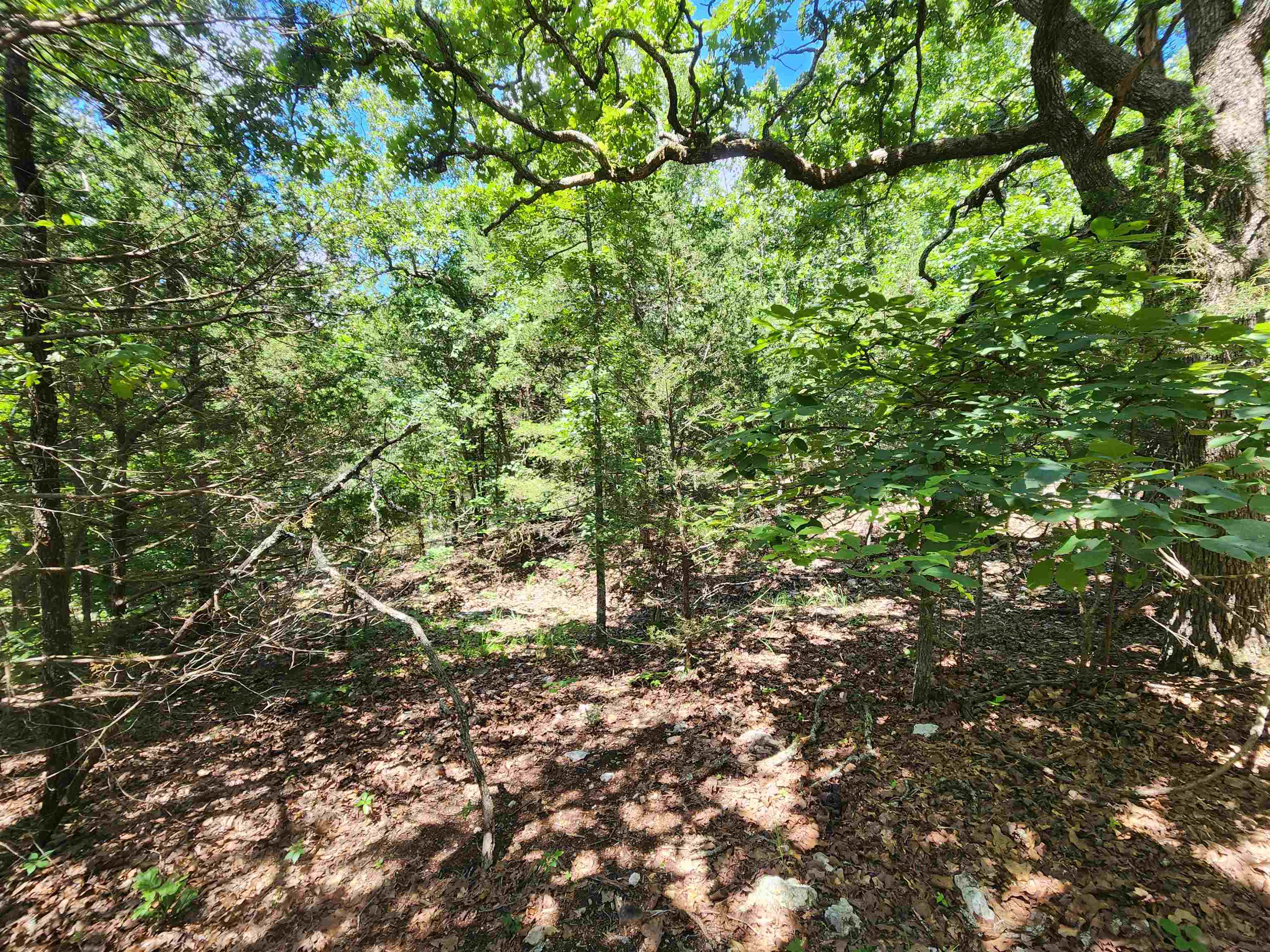 Cherokee Village - Land