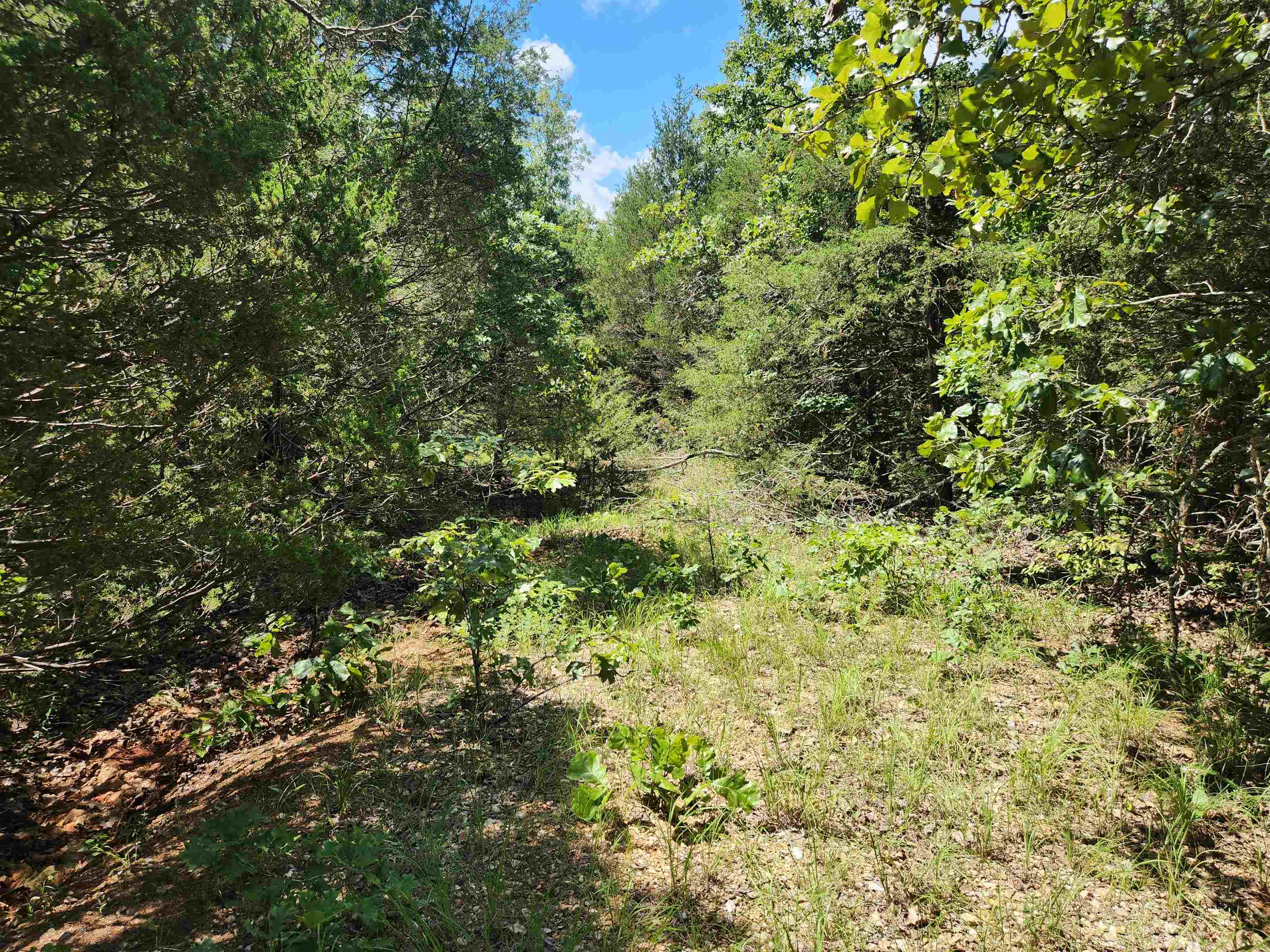 Cherokee Village - Land