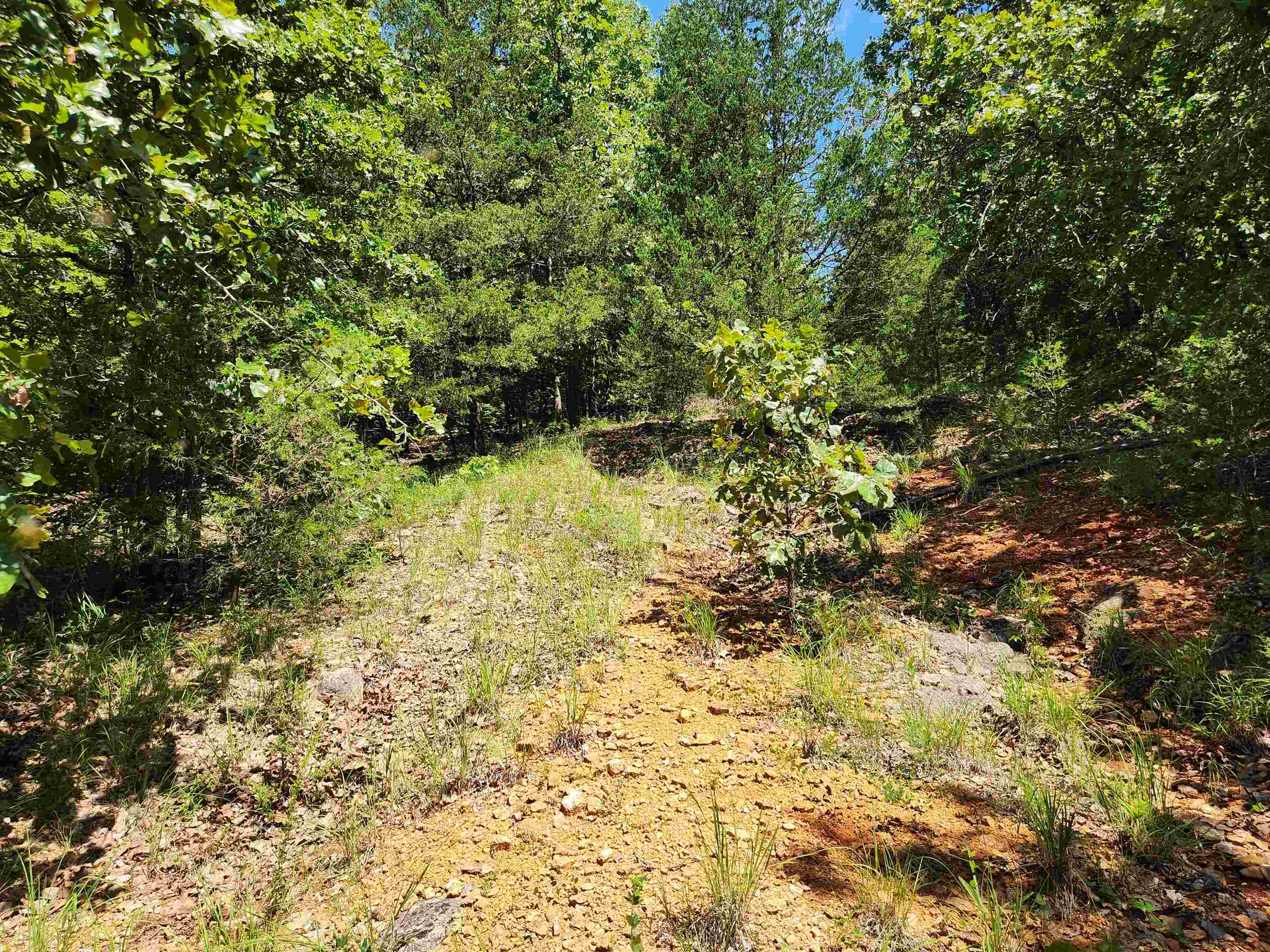 Cherokee Village - Land