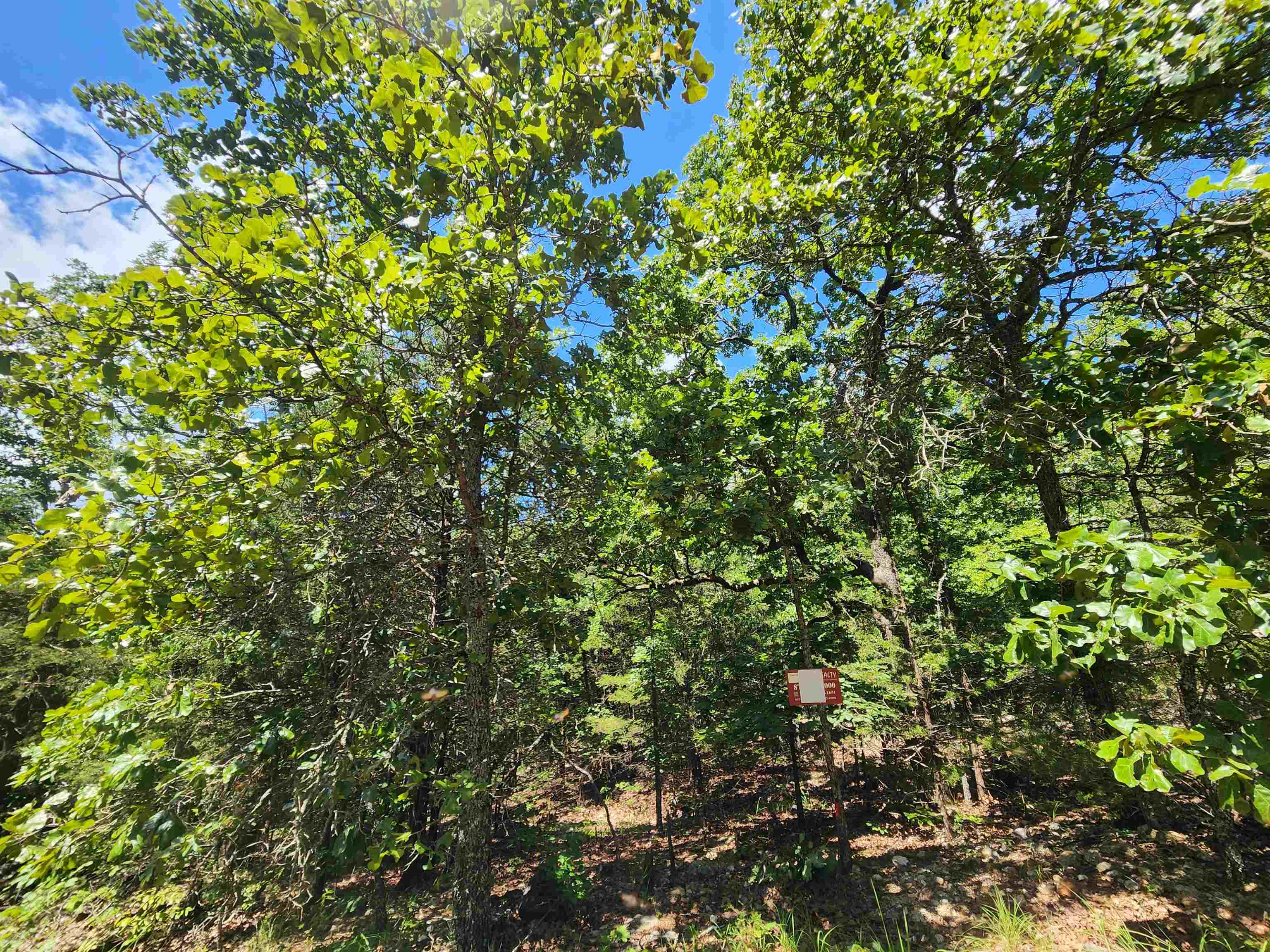 Cherokee Village - Land