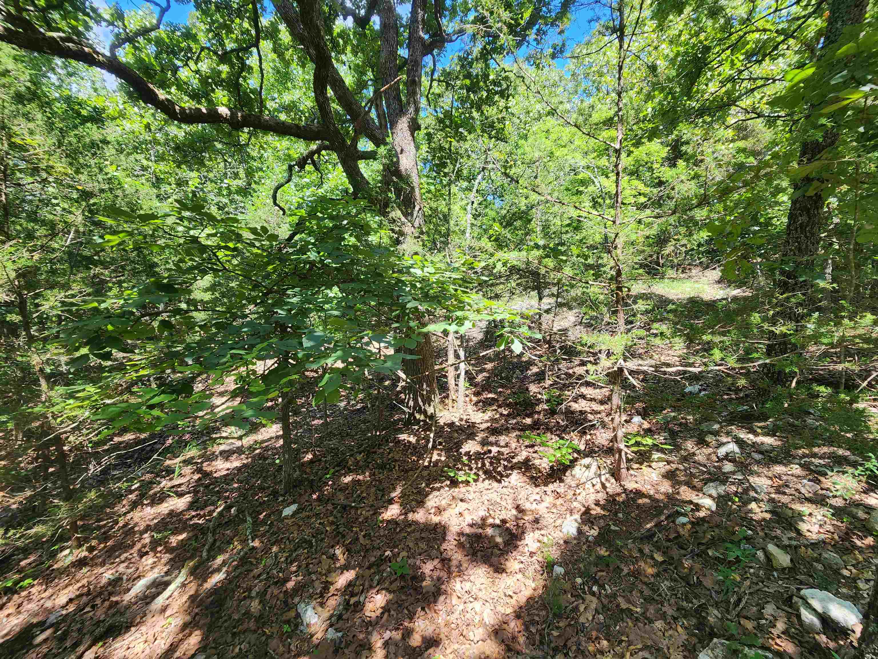 Cherokee Village - Land