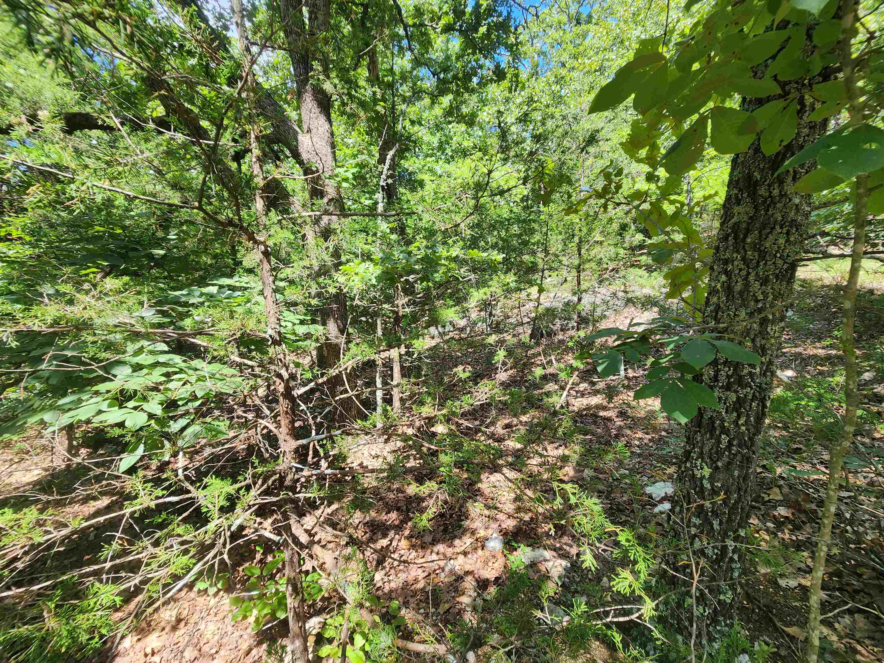 Cherokee Village - Land