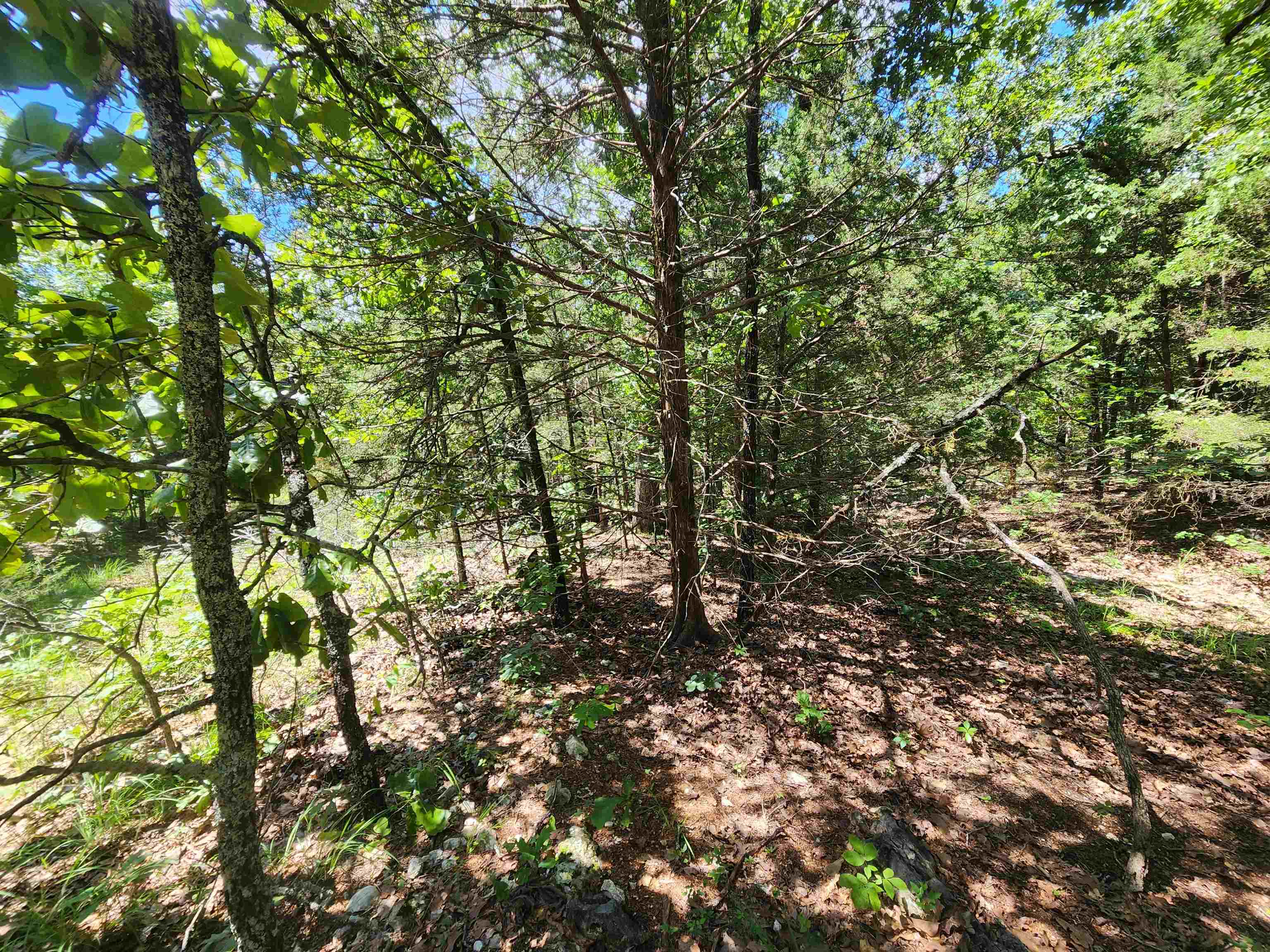 Cherokee Village - Land