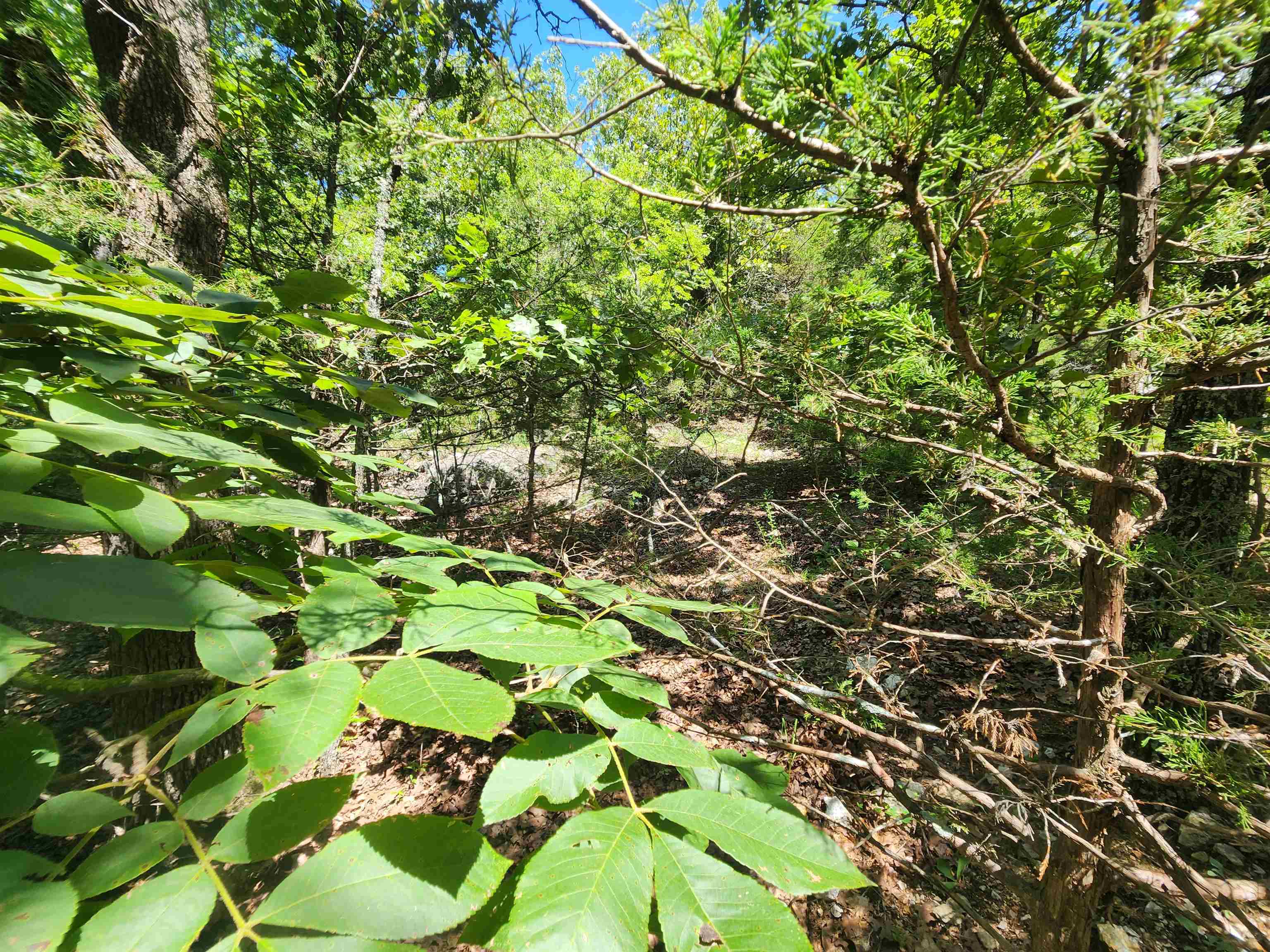 Cherokee Village - Land