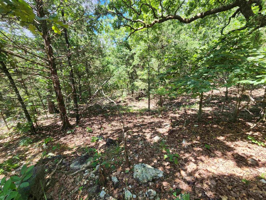 This is a beautiful, unrestricted, wooded lot. It is located just outside of the city limits of Cherokee Village. On the Fulton County side. There is no SID fee attached to this lot. No utilities. It's a Fantastic location for hunters, campers or nature lovers. There is not a house in sight. Surrounded by nothing but nature and wildlife. 4-wd drive vehicles or ATVs are suggested in order to get to this secluded lot. This is the kind of lot so many people are looking for. In the Village, but not in the Village. It's the best of both worlds. Such a great location. Great for a weekend nature getaway. No restrictions means if you want to pitch a tent, then have at it. If you want to park a camper for a night or two or a week or whatever, have at it. Hunters would love this location. It looks like a great place for a stand or a blind. So much wildlife such as deer, bear, turkey, small game as well. Get your little piece of nature now.
