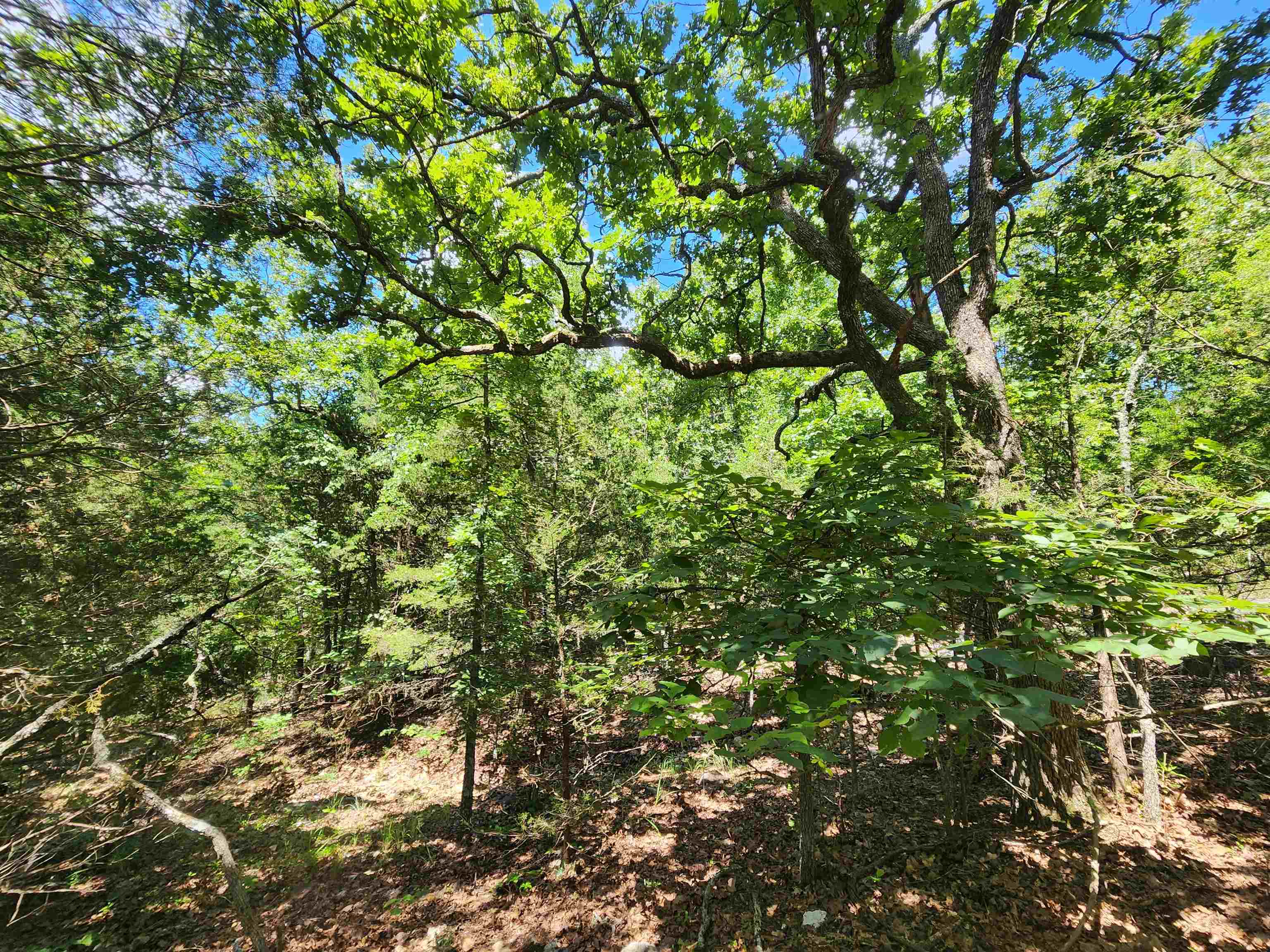 Cherokee Village - Land