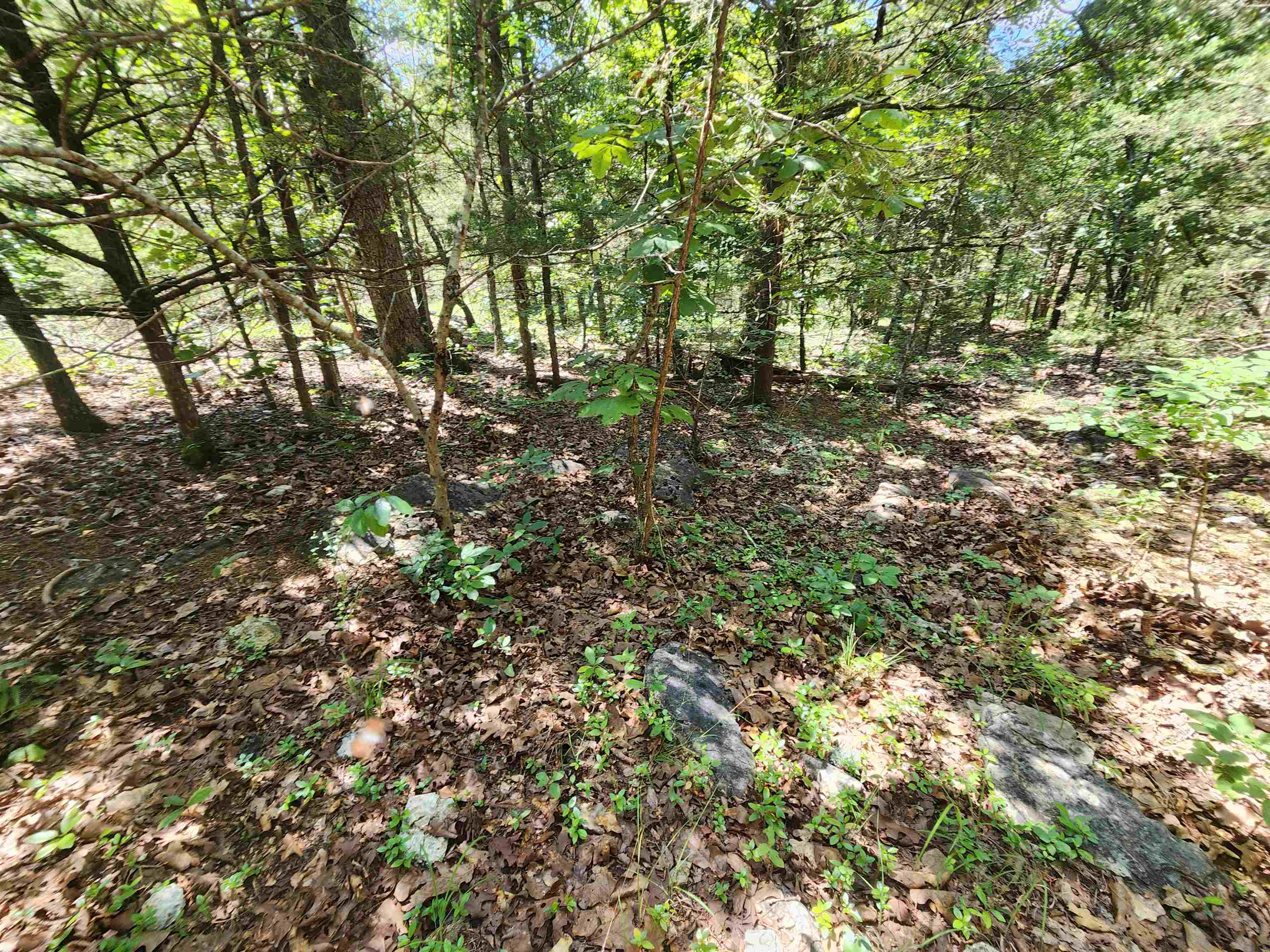 Cherokee Village - Land