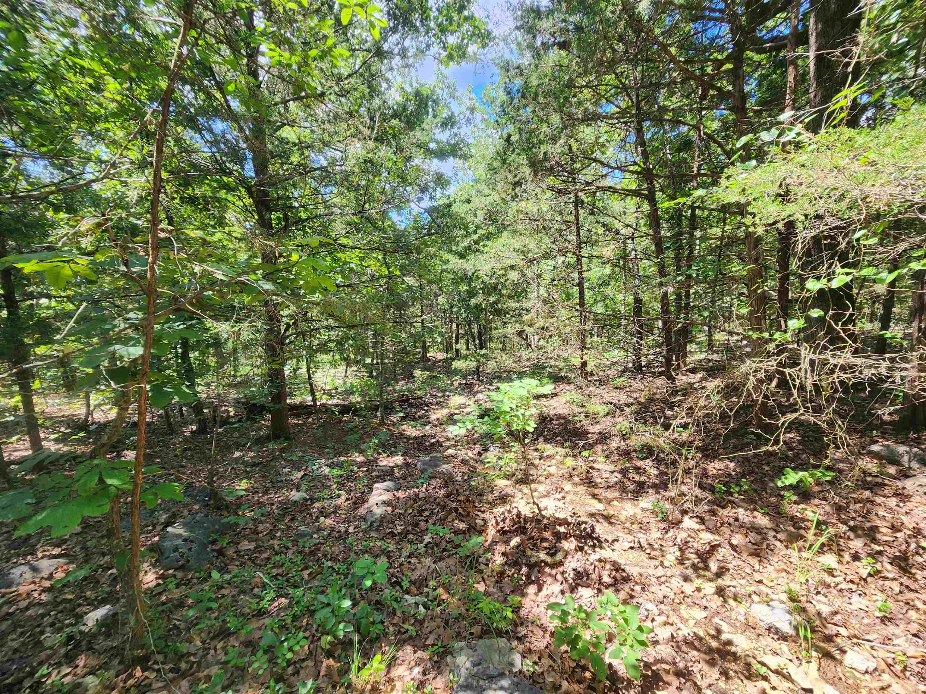 Cherokee Village - Land