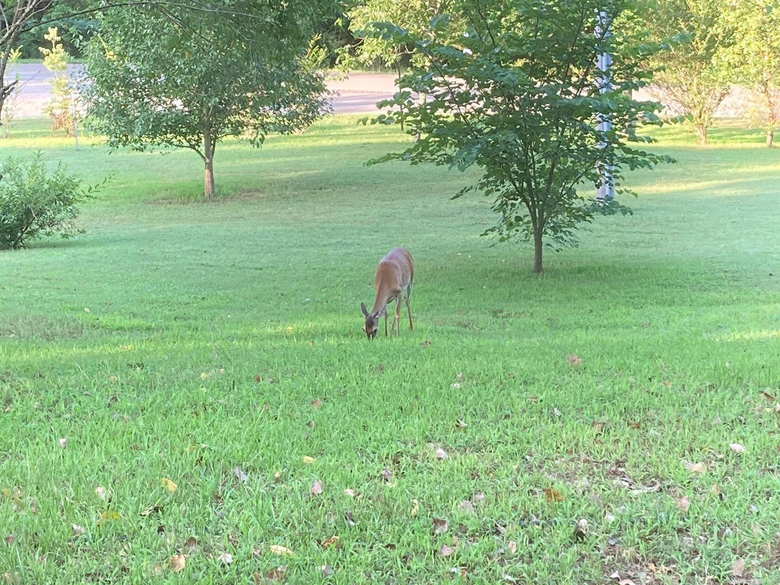RURAL MENA - Residential