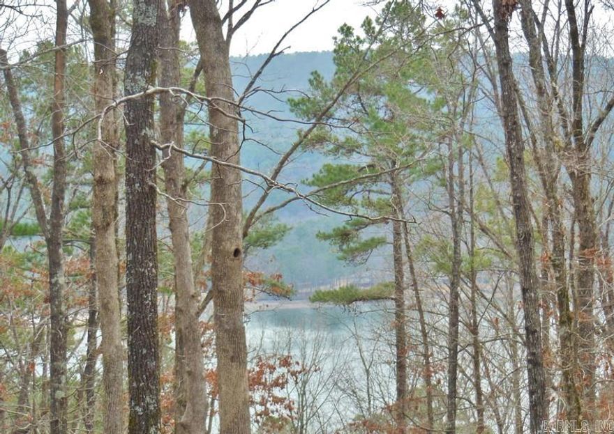 Large mountain and lake view lot with plenty of privacy inside Hot Springs Village.  The largest gated community with 11 lakes, 9 golf courses, swimming beaches and entrance security. Short distance to walking trails, golf course, lake, restaurants, swimming pool and other amenities.