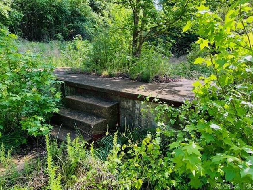 Nestled in the heart of the Ozarks and surrounded by the serene beauty of national forest, this secluded parcel offers 1.5 acres (more or less) of pure natural charm. A year-round creek borders the property, attracting abundant wildlife and adding to the peaceful, private setting. Towering mature trees provide shade and privacy, making it a perfect retreat for nature lovers, off-grid enthusiasts, or those seeking a quiet weekend getaway. Despite the remote feel, electric and high-speed internet are available, offering modern convenience in a truly wild setting. A rare find—don’t miss your chance to own a slice of wilderness paradise!