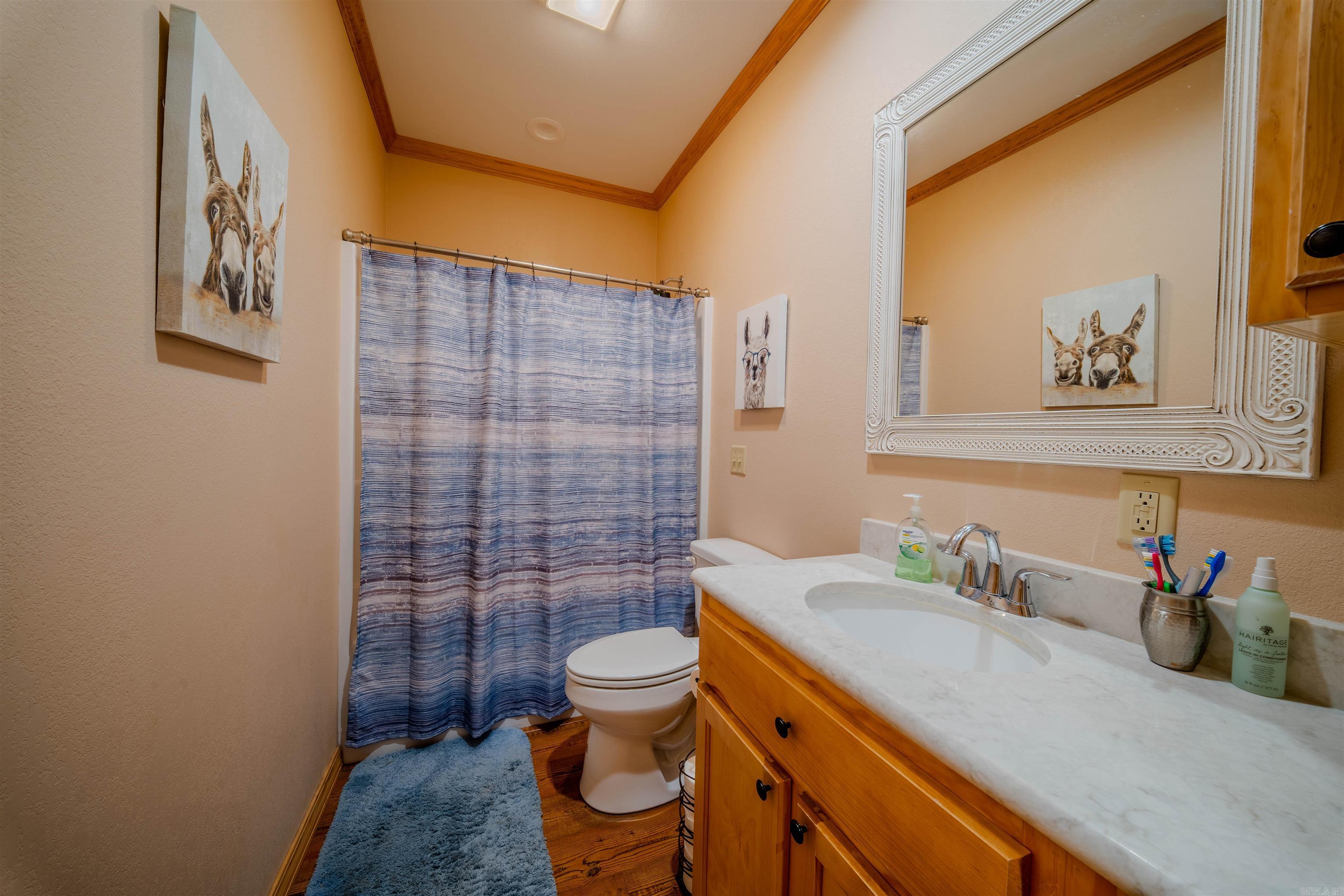 Metes & Bounds - Residential