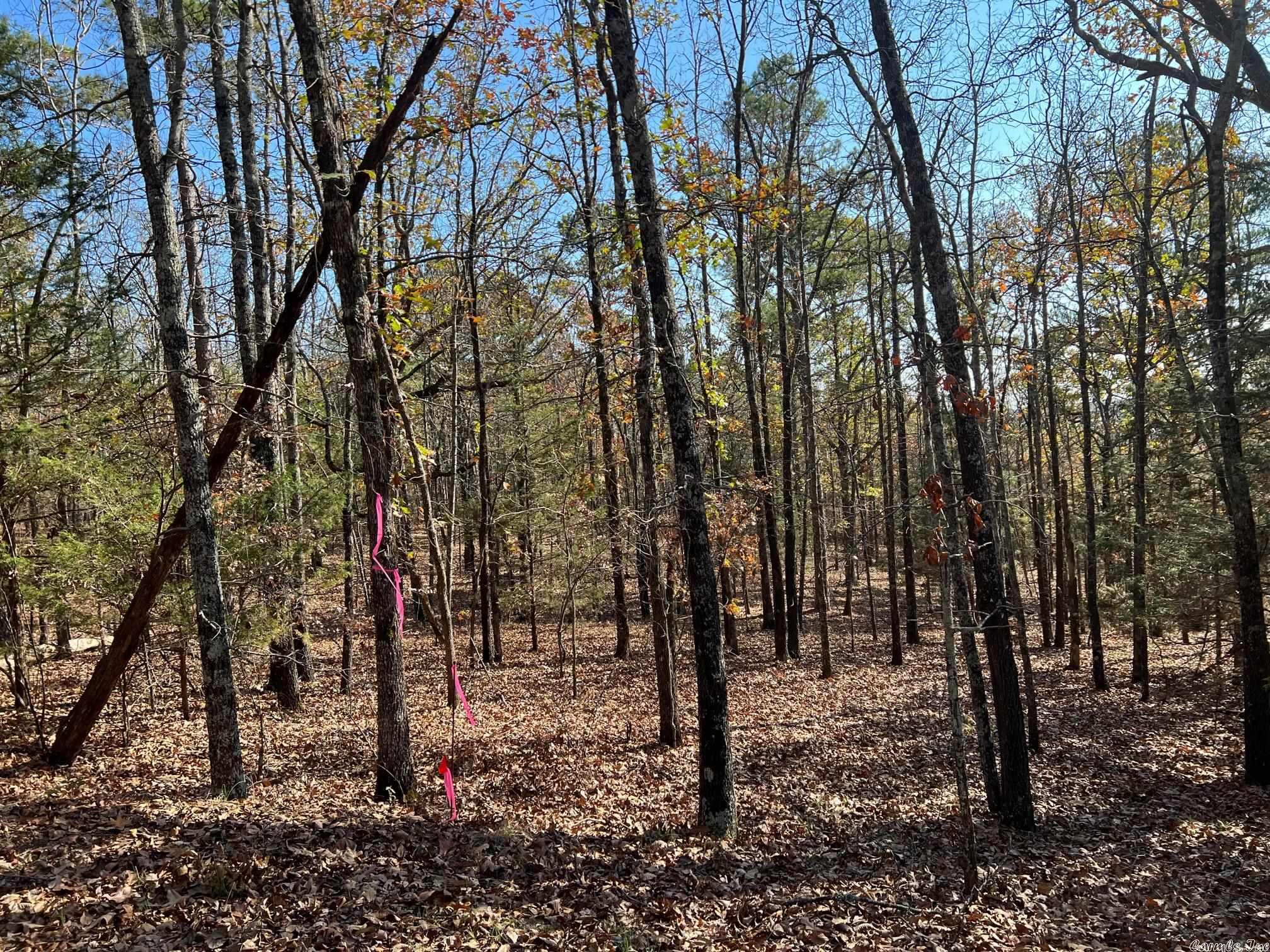 Round Mountain Estates - Land