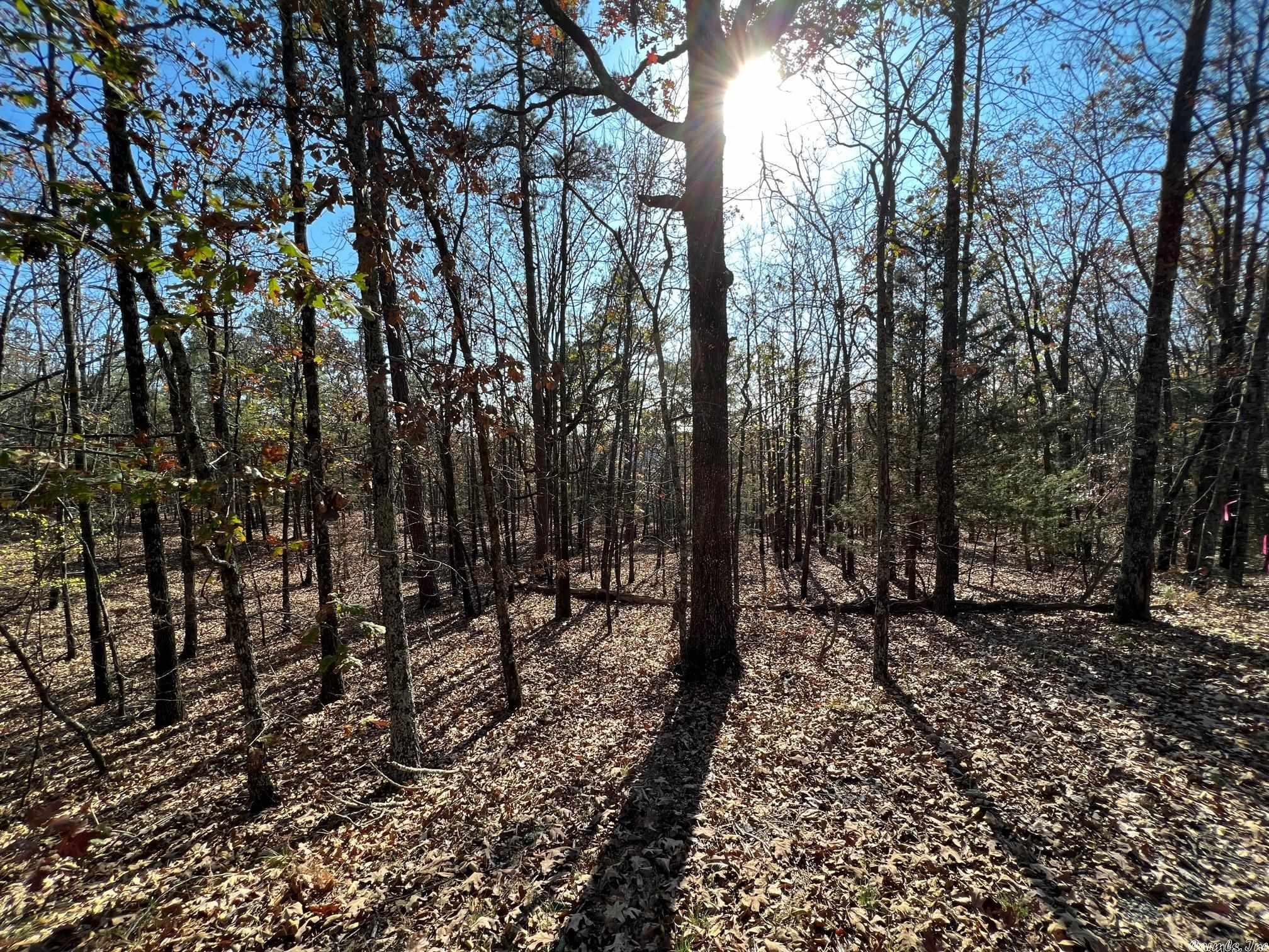 Round Mountain Estates - Land