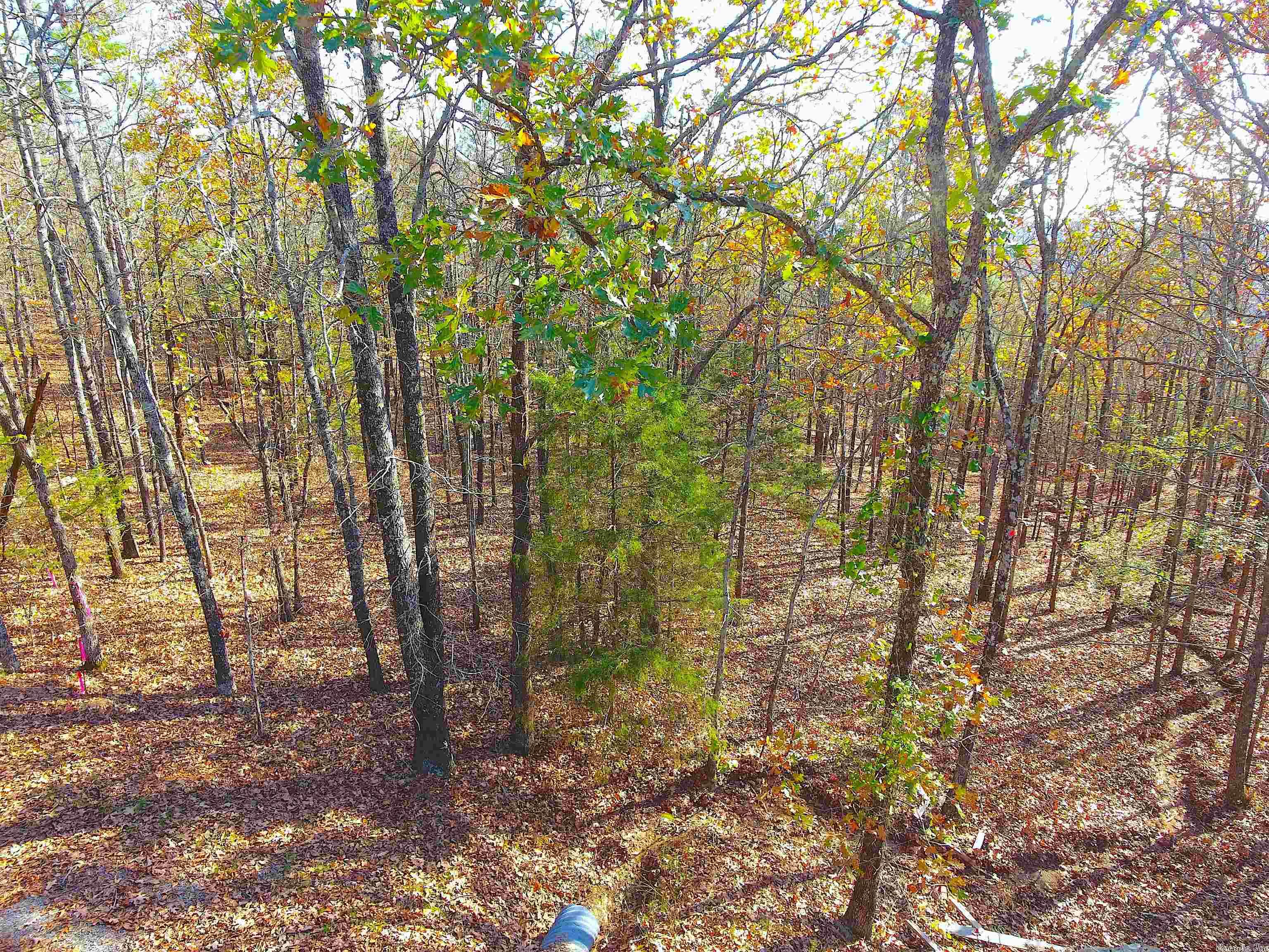 Round Mountain Estates - Land