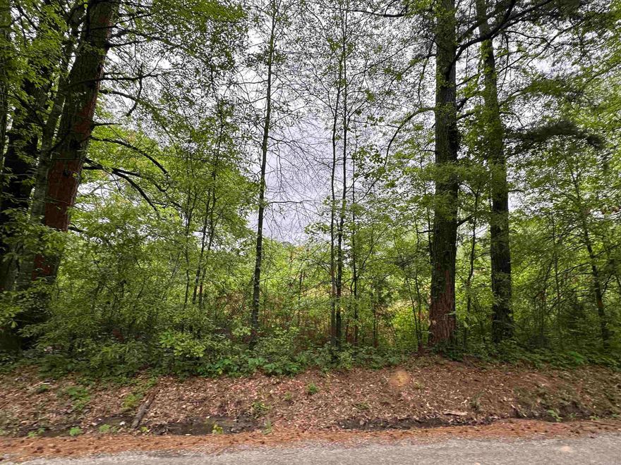3.76 beautiful shaded acres with mature hardwoods.  Utilities on property, as there used to be a house on the property. Due to having to reach multiple sellers for response, please allow 4-5 days on expiration of contracts, cannot get quick responses.