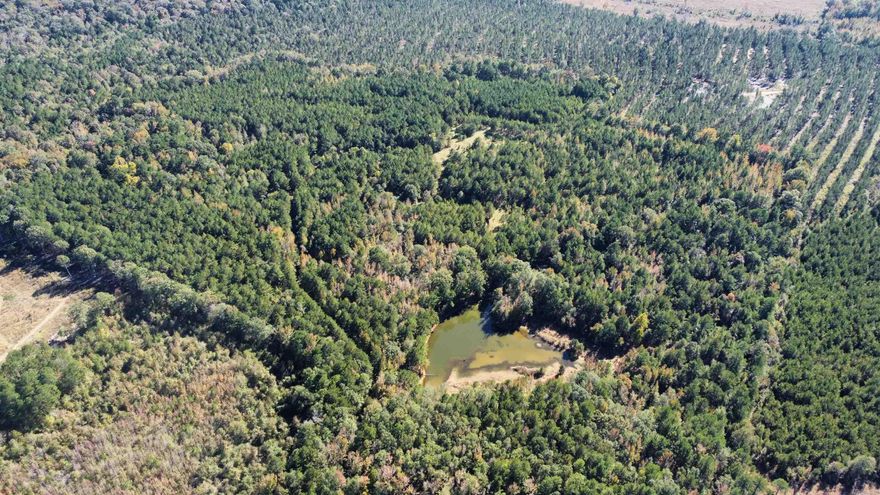 This 65 acre tract is a hunters paradise. It features a great stand of timber and trails as well. It has a 1.5 acre pond ready to fish. There is gravel present on the site. This property is accessed through easement. Call Josh Nichols with White Oak Realty for any more information.