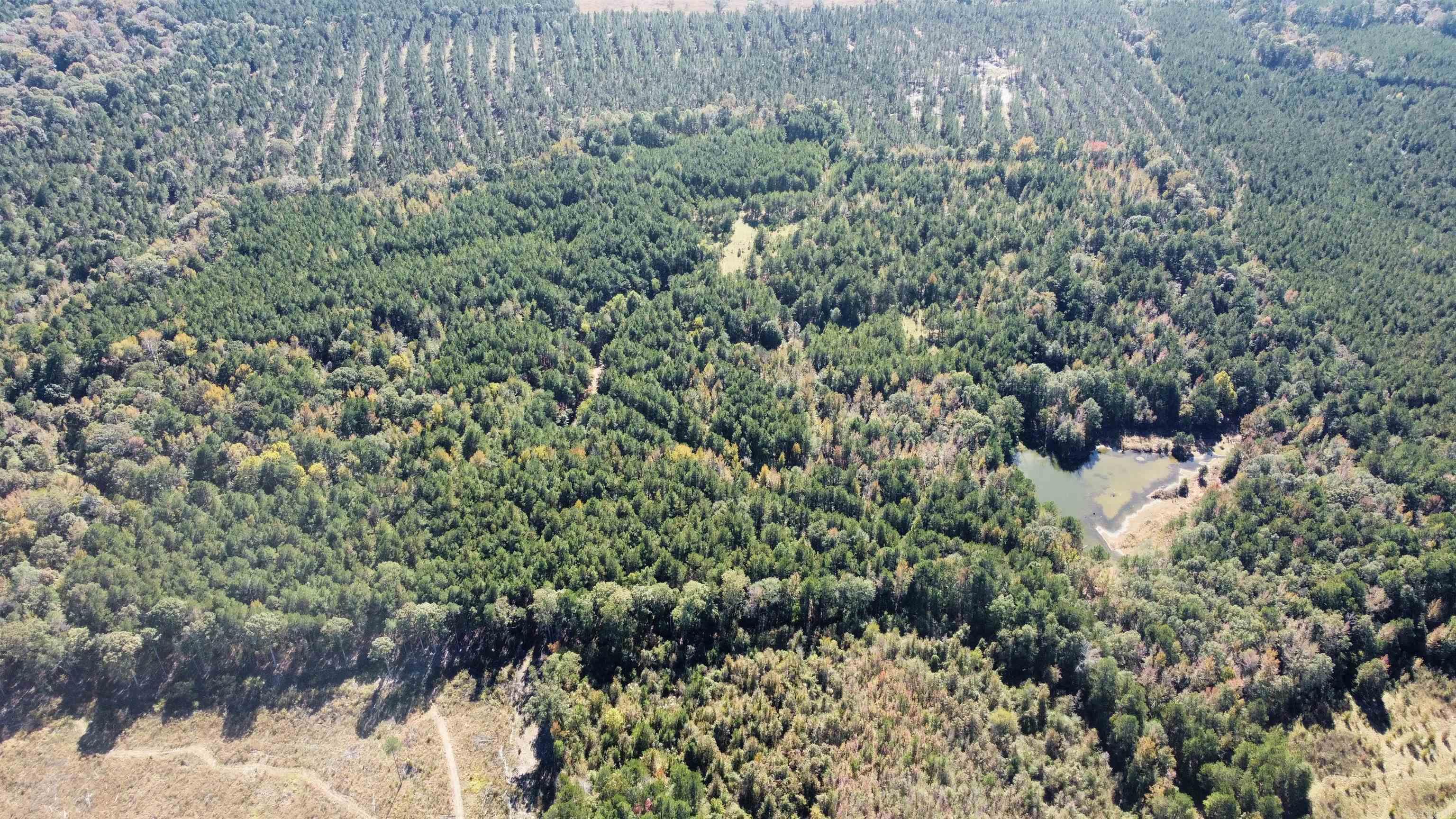 Metes & Bounds - Land