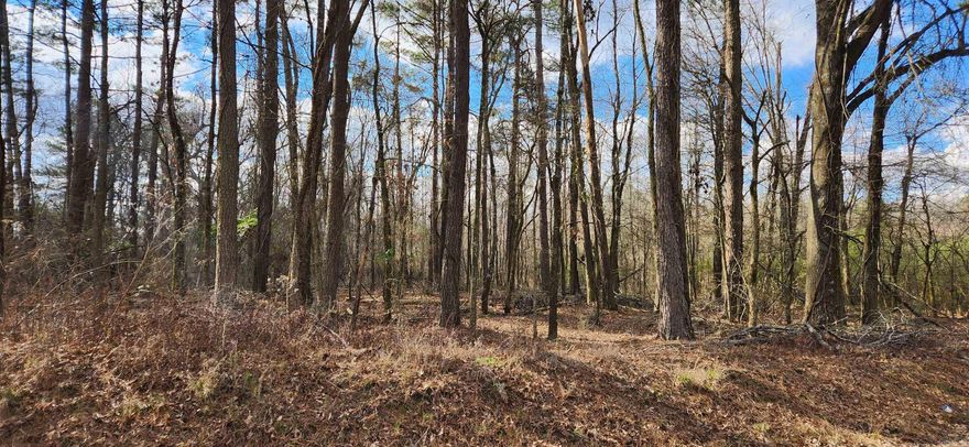 Looking for land to build on?  This is your perfect spot!! Over 1300 feet of PAVED Road Frontage. Only MINUTES from town and 530!! Utilities on road. New Survey!! Don't miss out!!!