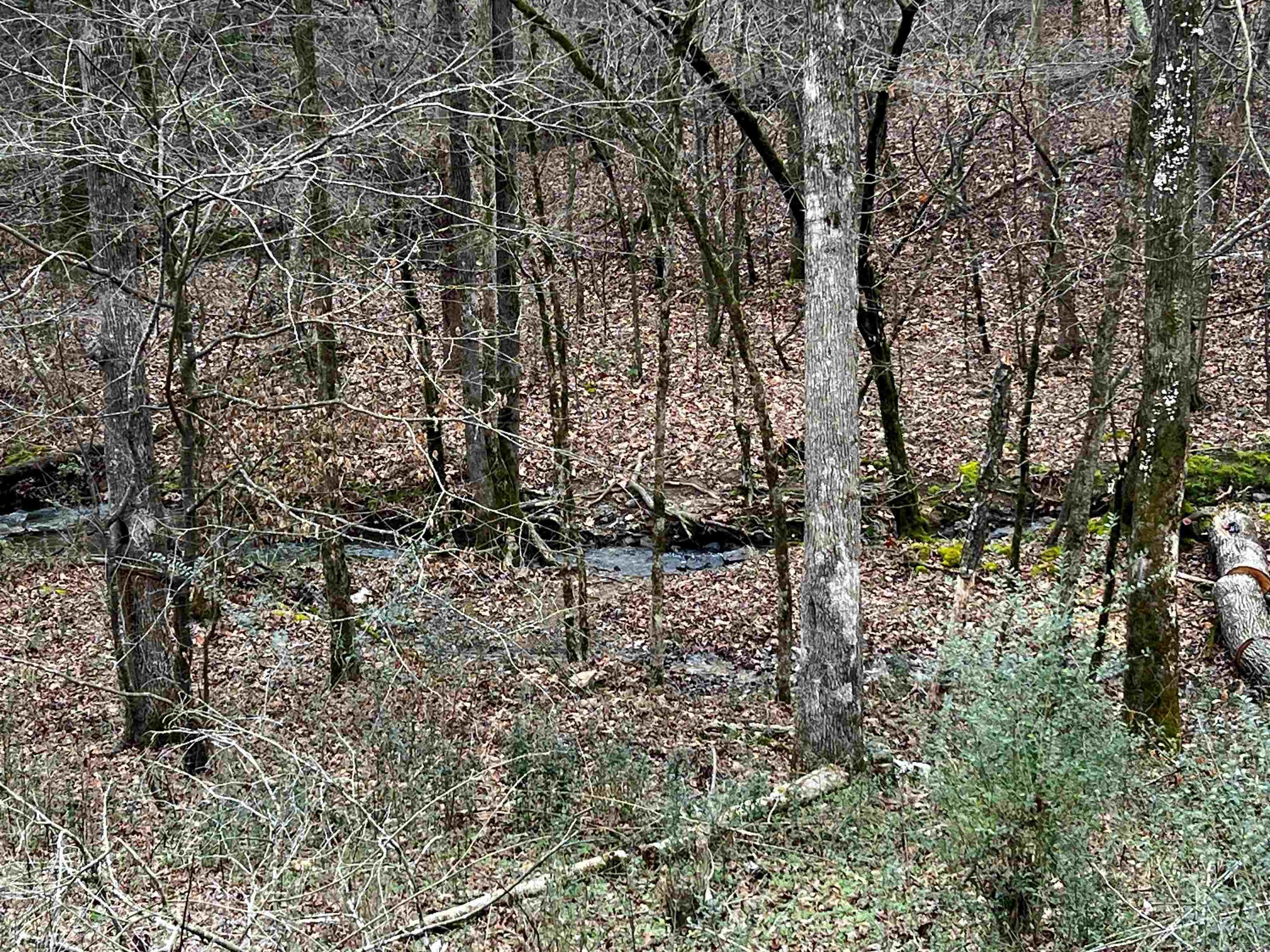 Looking for a fixer upper, or a place to build your dream home, well look no further! This property has five beautiful acres with a single wide fixer upper mobile home that will convey with the purchase of this property. The land features a gorgeous year-round flowing creek and is not far from the bypass and Highway 270 and everything Hot Springs has to offer. It is also situated quite close to Lake Catherine for those that enjoy spending time on the lake. Seller is willing to subdivide the acreage.