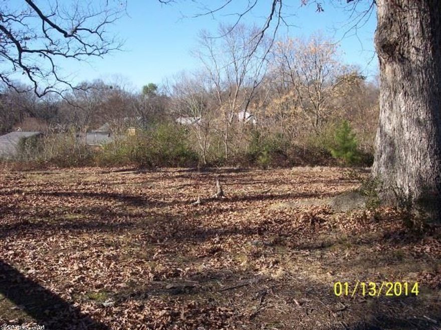 To be offered at auction on June 17, 2015 at 11 am on site.  Please go to http://www.crye-leike.com/auctions/arkansas_real_estate_auctions.php for terms and conditions.  Bank will consider offers prior to auction.