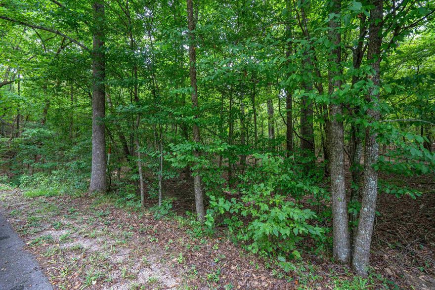 Prime residential lot near the Ouachita River and White Water Park. City utilities at street. Buy it now and get those dreams moving forward. Convenient to interstate with short commute to Hot Springs, Benton, Little Rock, or Arkadelphia.