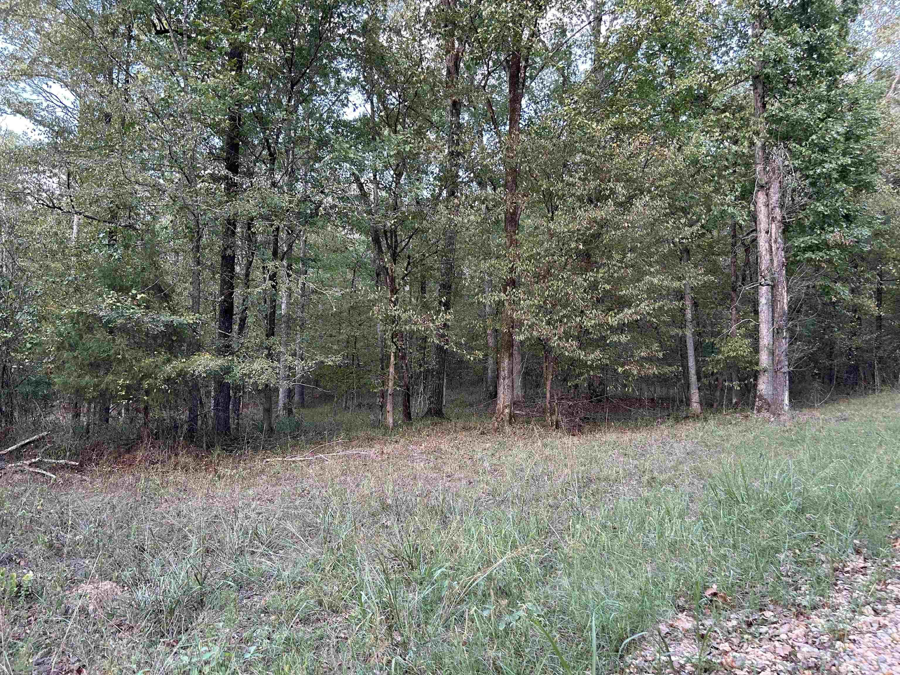 Not in Subdivision - Land