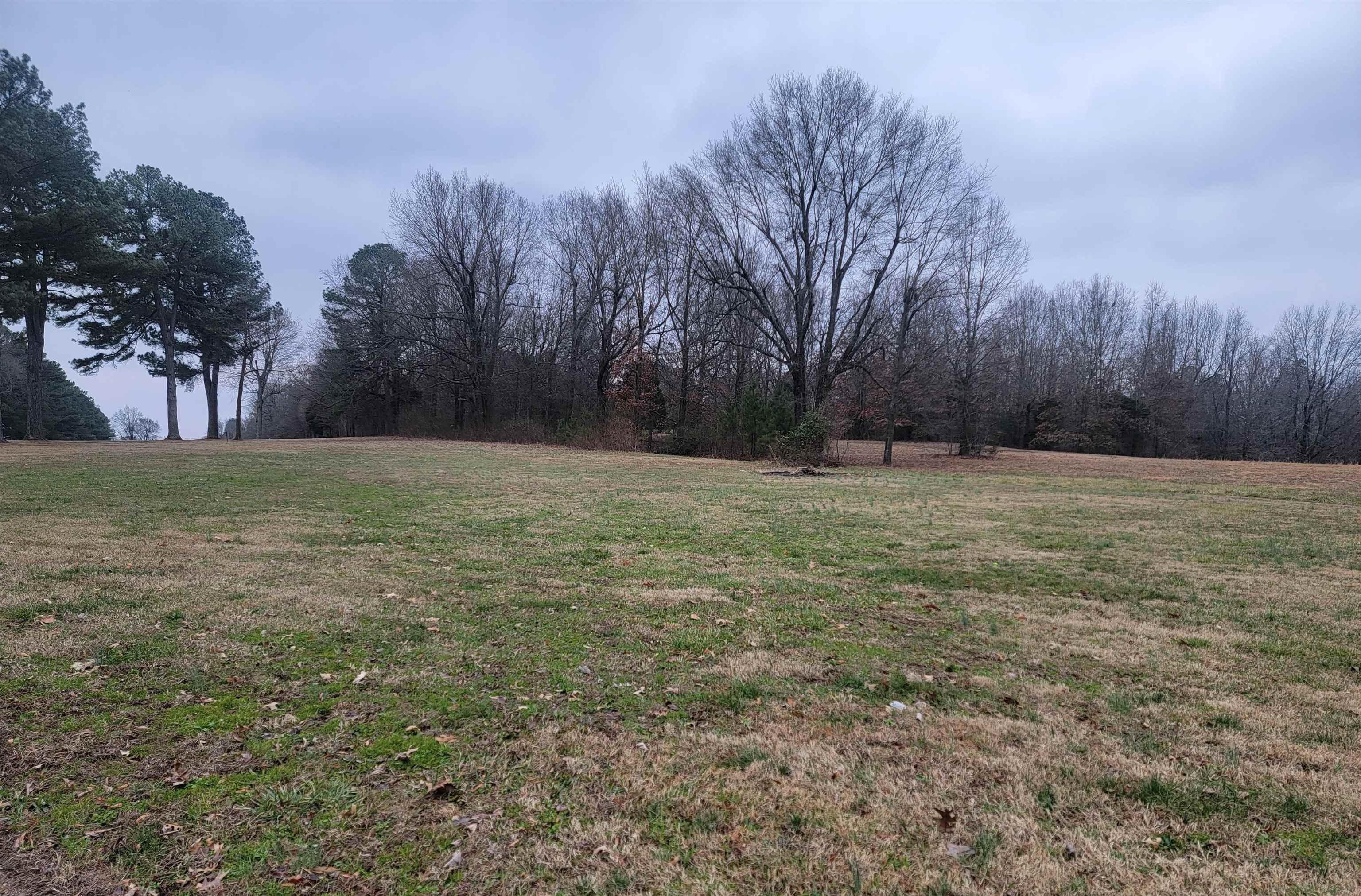 If you play golf, then don't miss out on this opportunity. If golf is not one of your hobbies, then check out what is lot has to offer. It's Paragould's largest lot available to purchase by the country club with over ONE Acre of land. You'll have Callaway Hills Subdivision to the South. Privately owned land to the West side and the country club joining your property on the east side. Build your dream home here and retire enjoying the best there is to offer in Paragould.